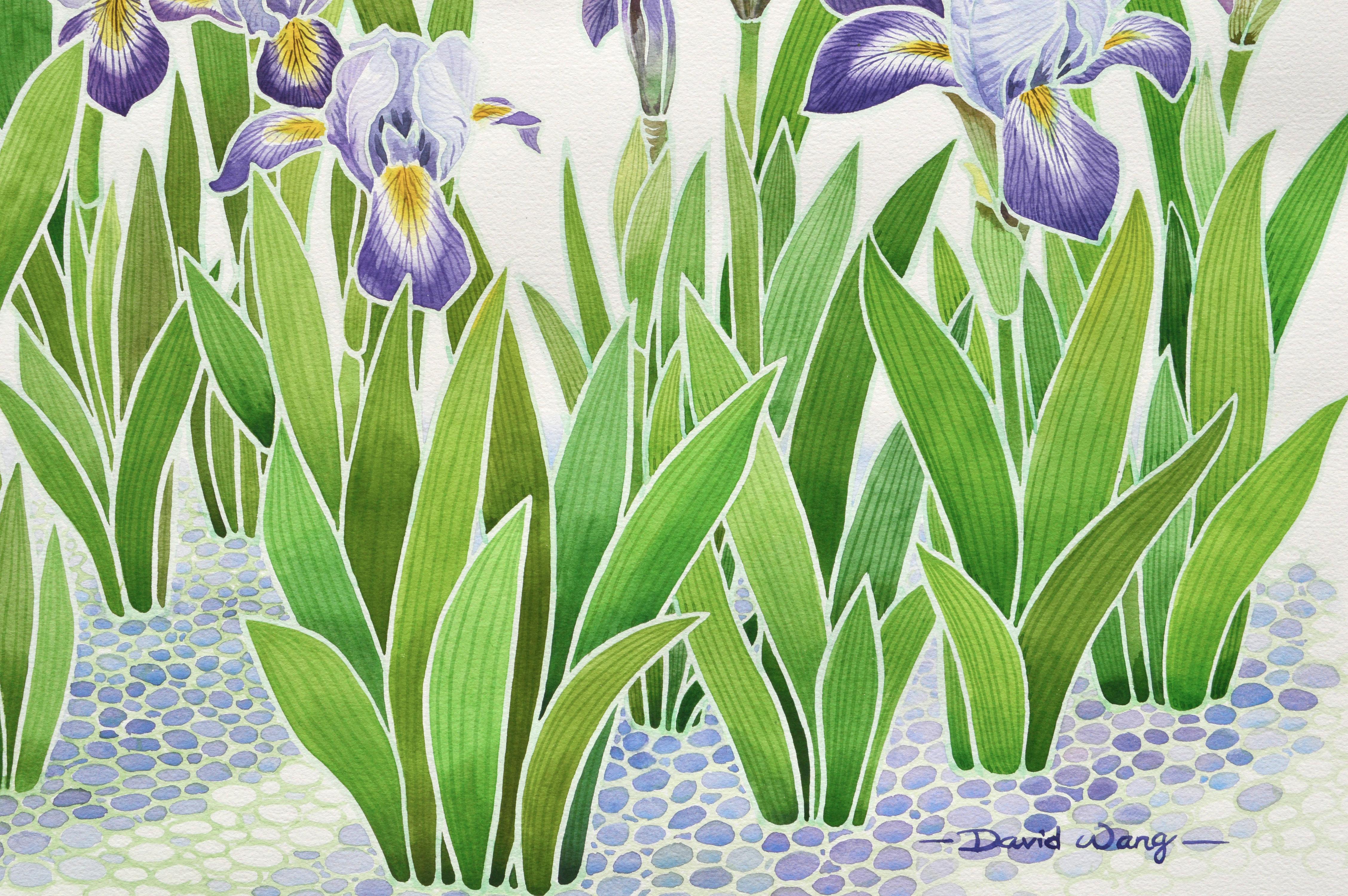 Iris Bandera Azul - Art Realista de David Wang