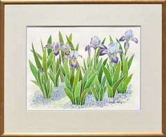 Vintage Blue Flag Irises 