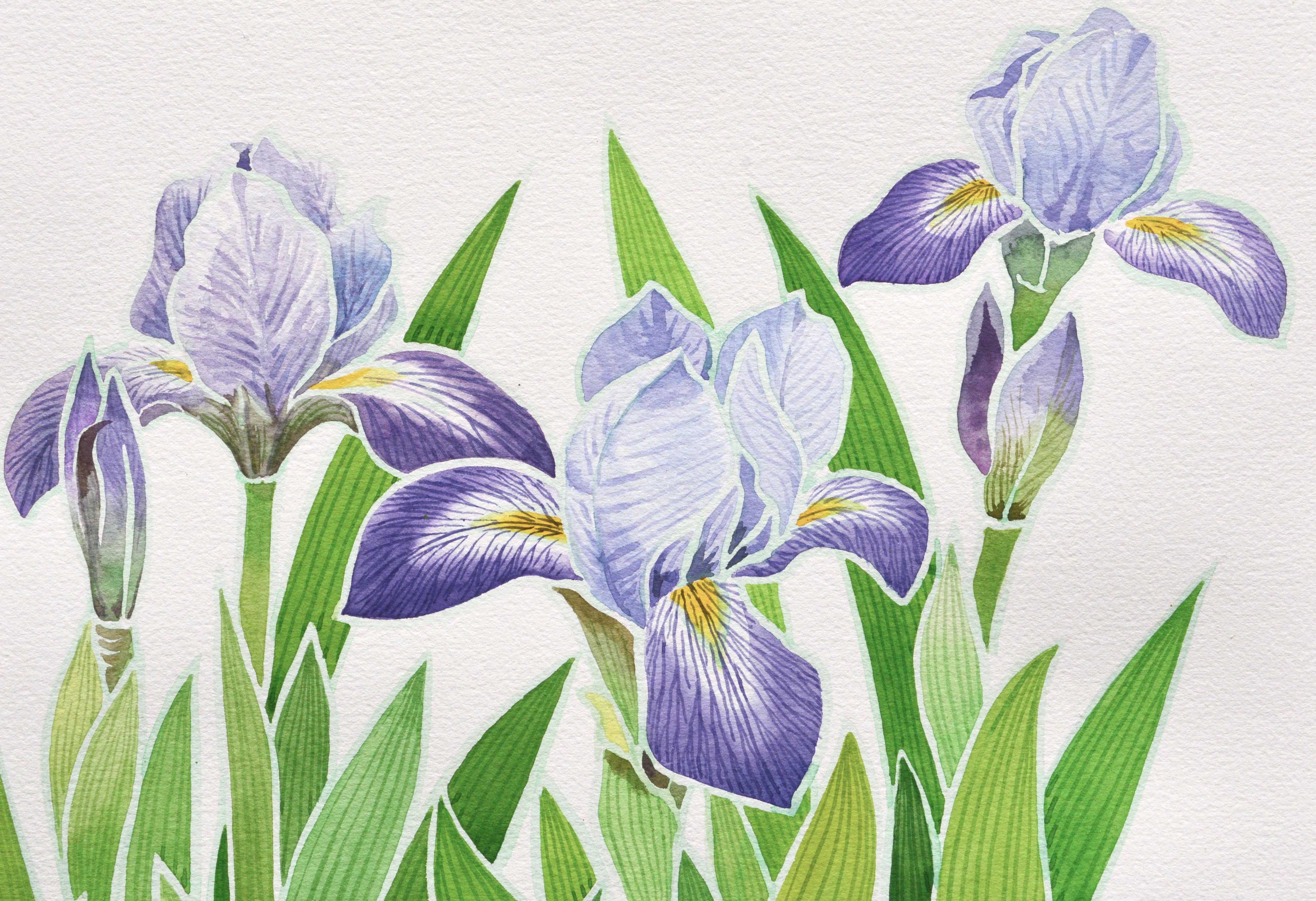 Irisen mit blauer Flagge  (Beige), Still-Life, von David Wang