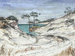 Ocean Path Through Sand Dunes - Florida Landscape