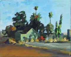 Central Valley Homestead Landscape