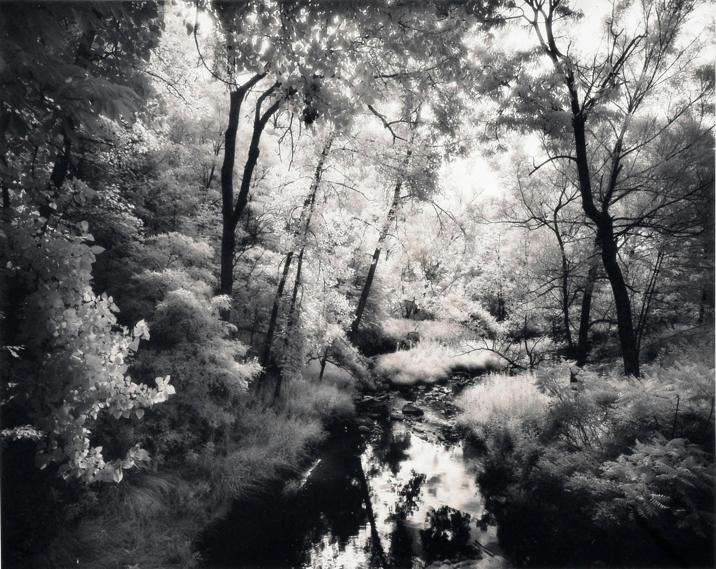 A soft focus, black and white landscape photograph by Connecticut artist Alan Shulik (American, 20th Century). Archival mat board with edition number on left margin, 8/97; artist's signature on right margin. Presented in a silver metal frame.