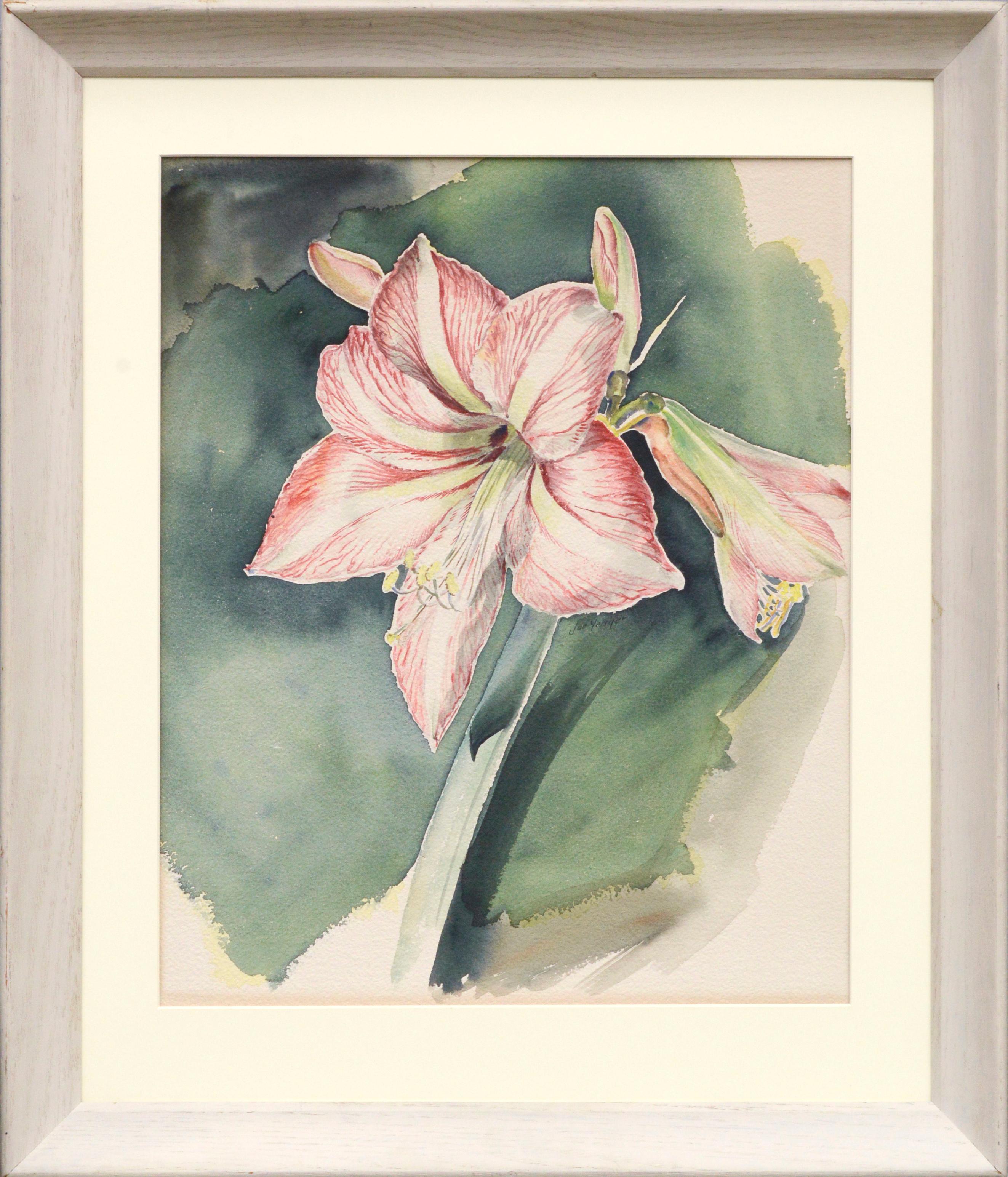Mid Century Amaryllis Blossom Watercolor