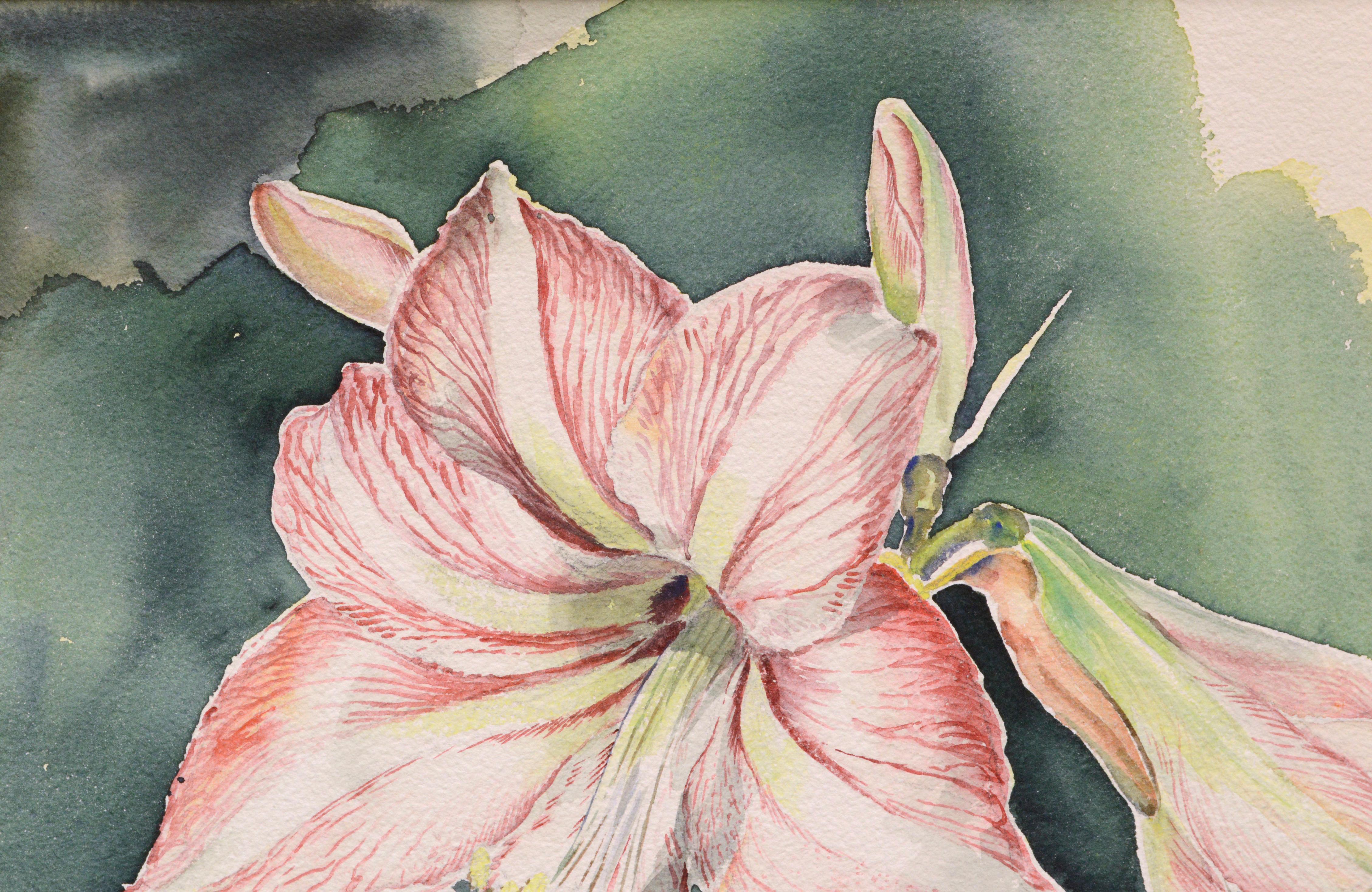 Amaryllisblüten-Aquarell aus der Mitte des Jahrhunderts (Amerikanischer Realismus), Art, von Joseph Yeager