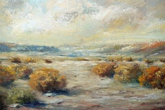 Paesaggio del deserto di Palm Springs in California, metà anni '60