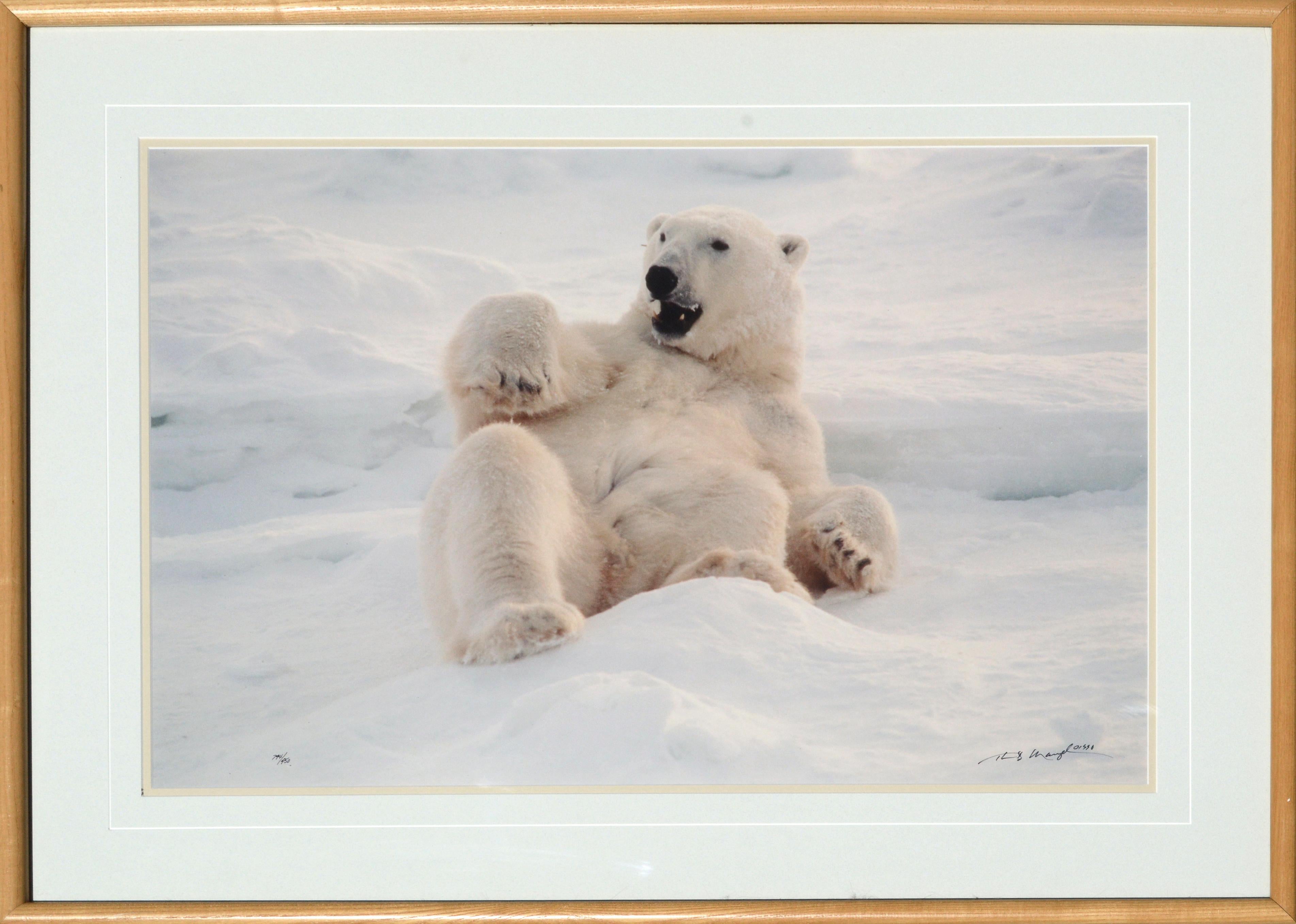 Thomas Mangelsen Color Photograph - "Feels Good" Polar Bear Photograph - Signed and Numbered Limited Edition 