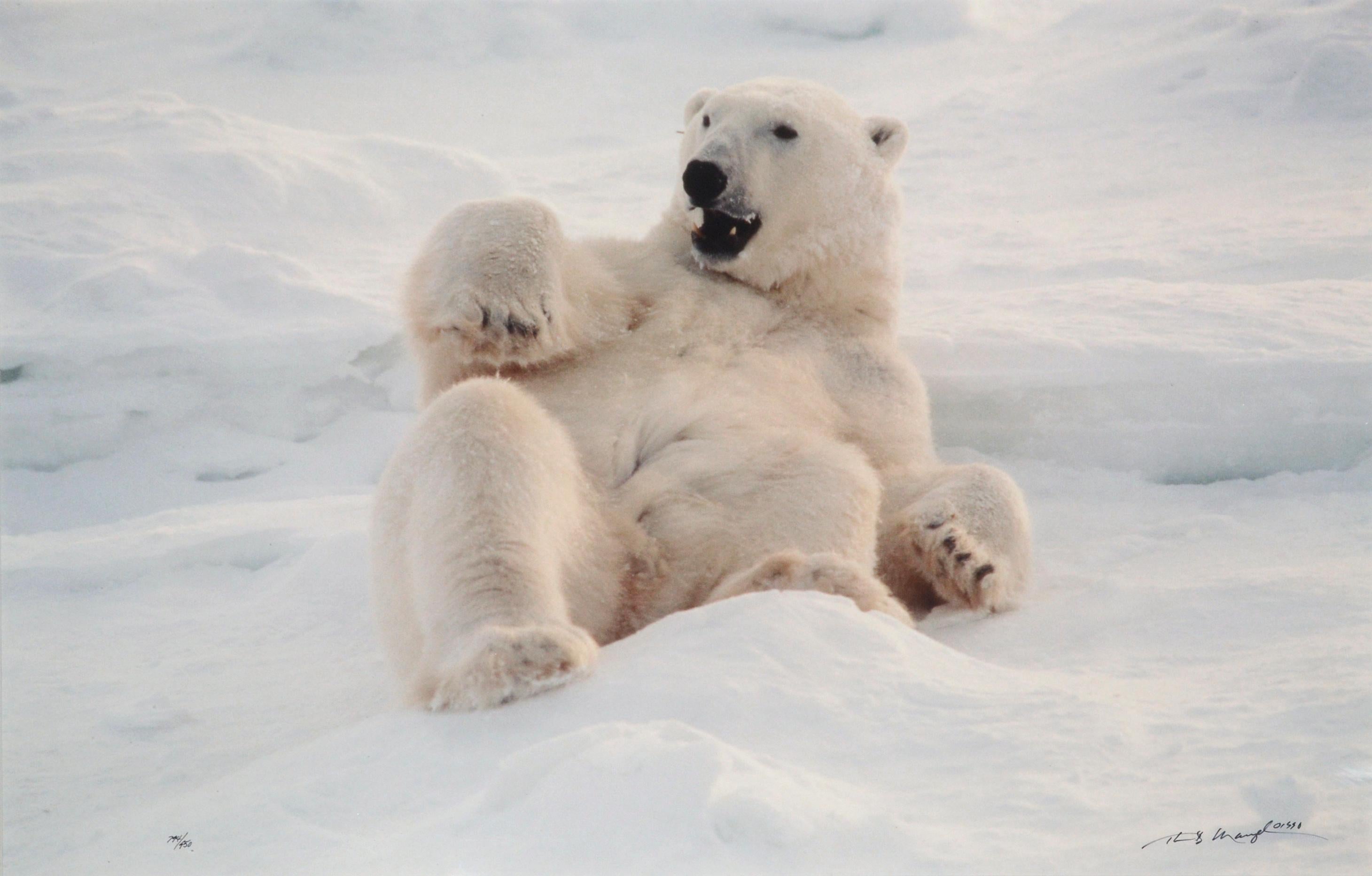 thomas mangelsen polar bears