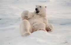 "Feels Good" Polar Bear Photograph - Signed and Numbered Limited Edition