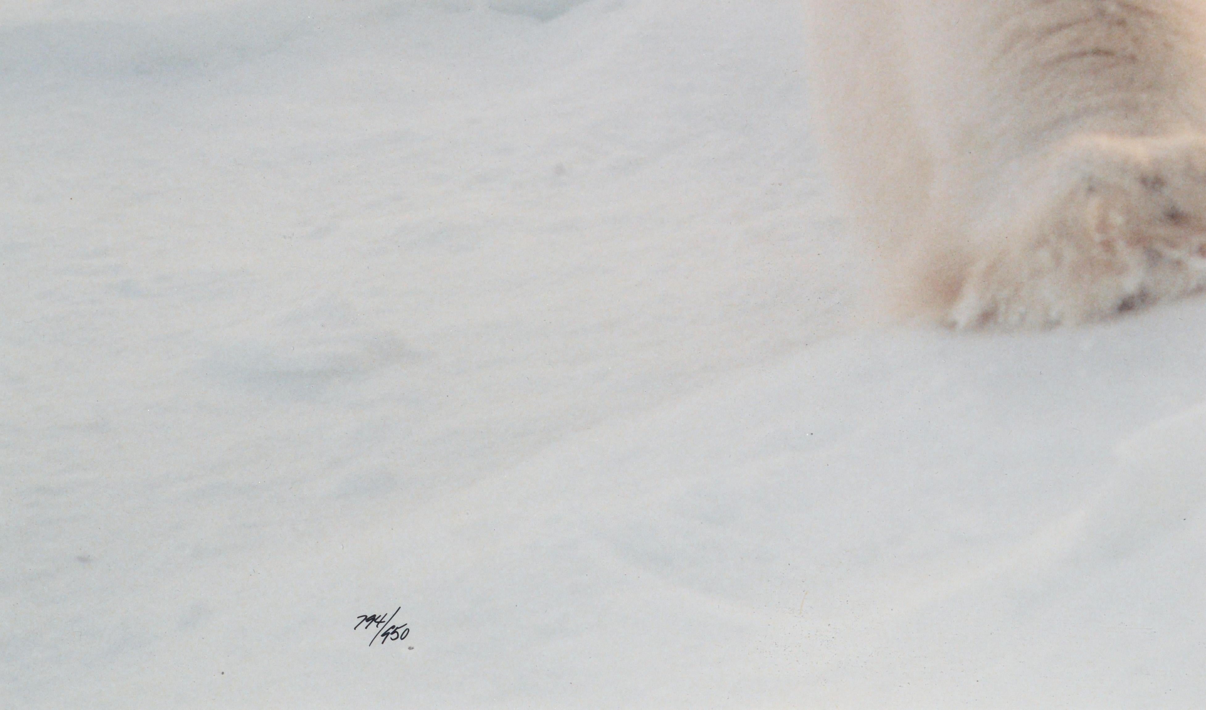 Signierte und nummerierte Fotografie eines Eisbären in limitierter Auflage von Thomas Mangelsen (Amerikaner, geb. 1945). Signiert 