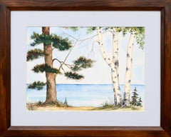 Pine and Birch at the Edge of the Lake - Landscape