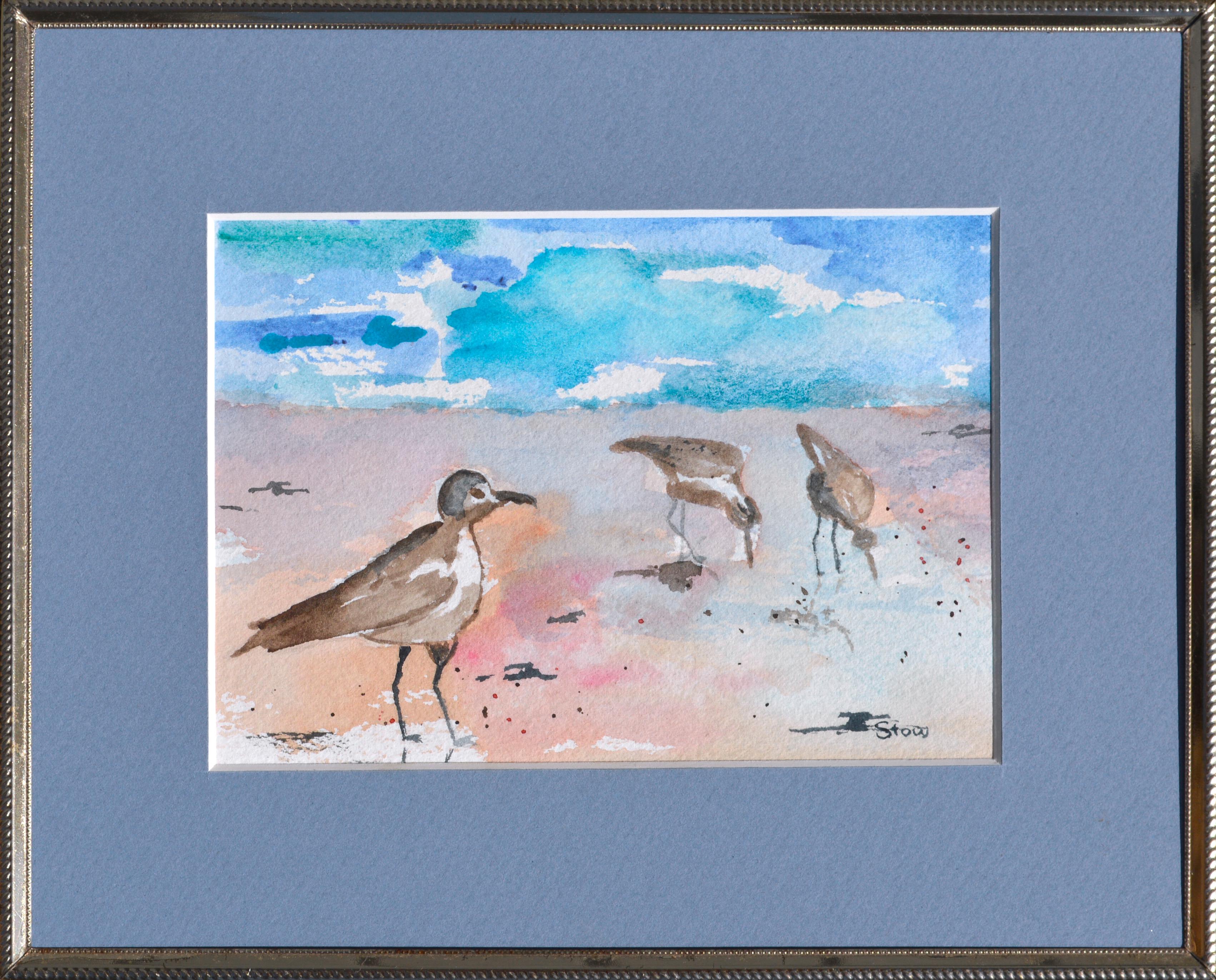 Maryann Stow Landscape Art - Florida Seabirds Landscape