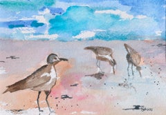 Florida Seabirds Landscape