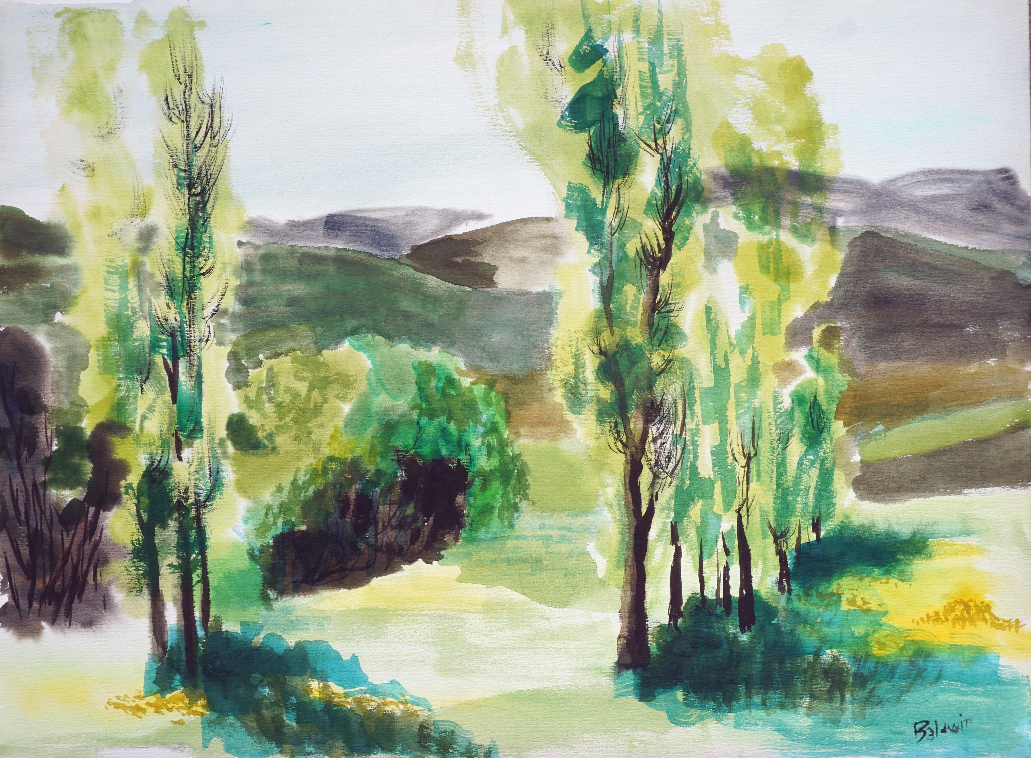 Diane Baldwin Landscape Painting - California Foothills Landscape