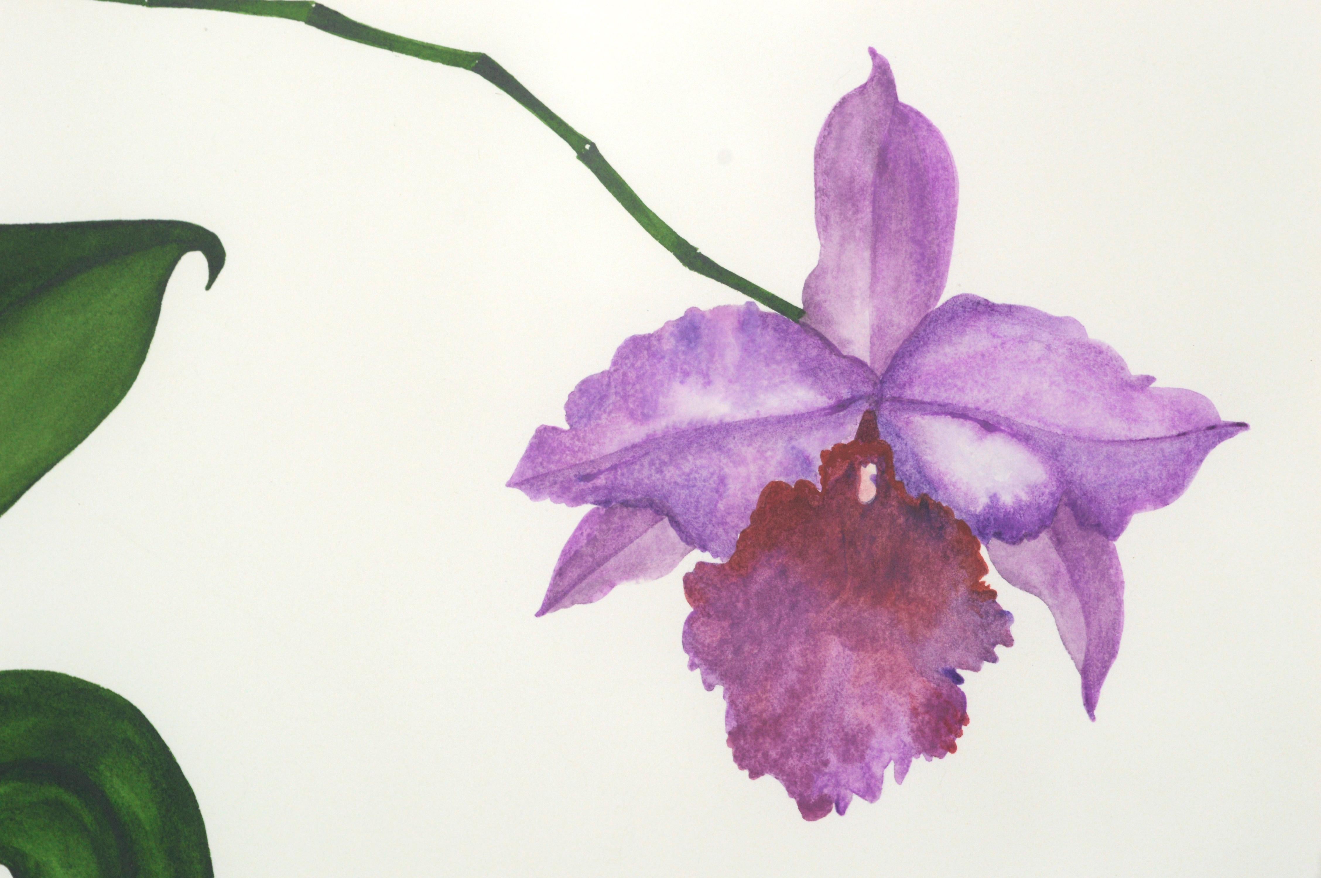 purple orchid drawing