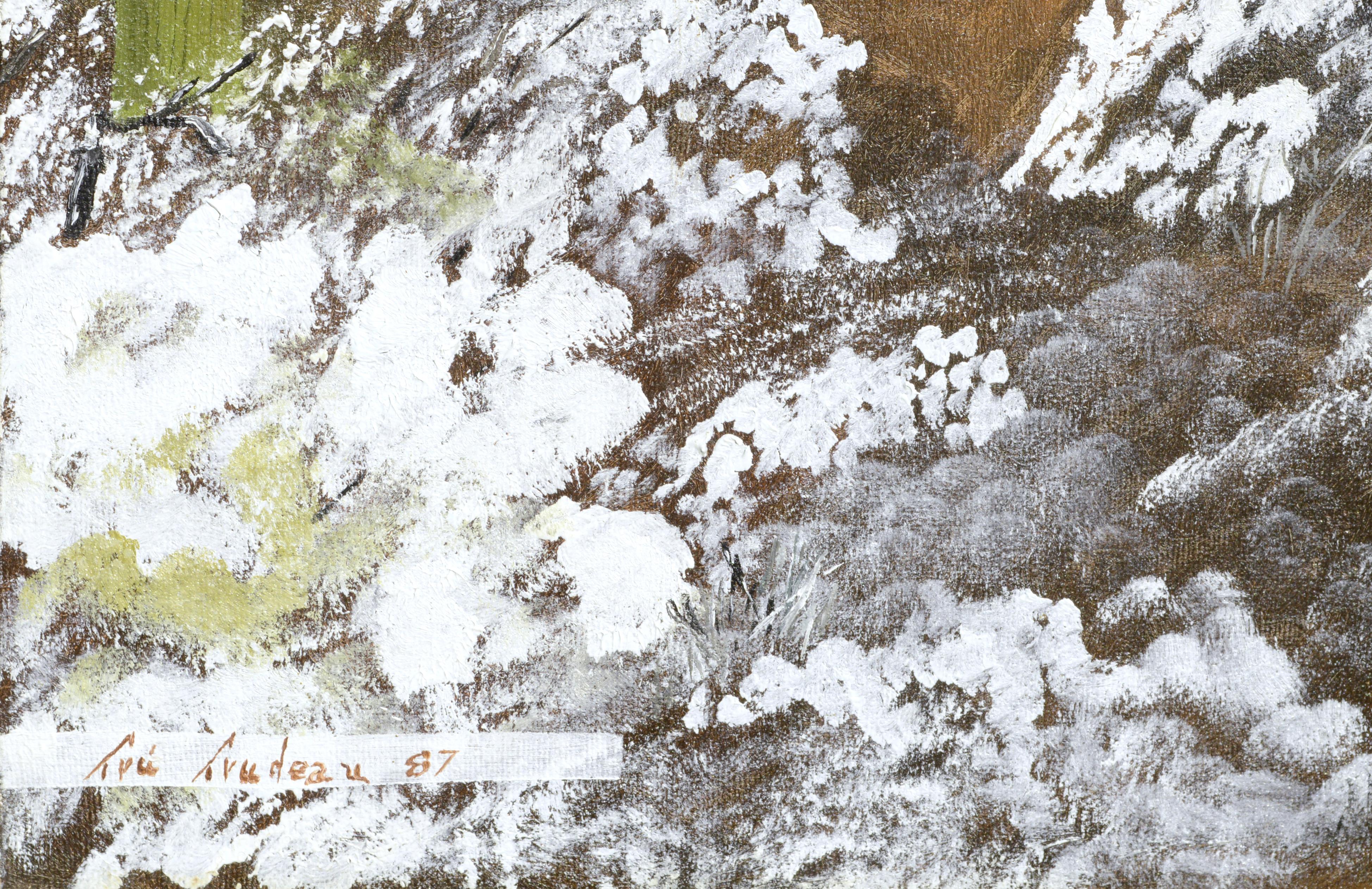 Paesaggio sereno di neve fresca nel deserto di Tru Trudeau (20° secolo). Firmato e datato 