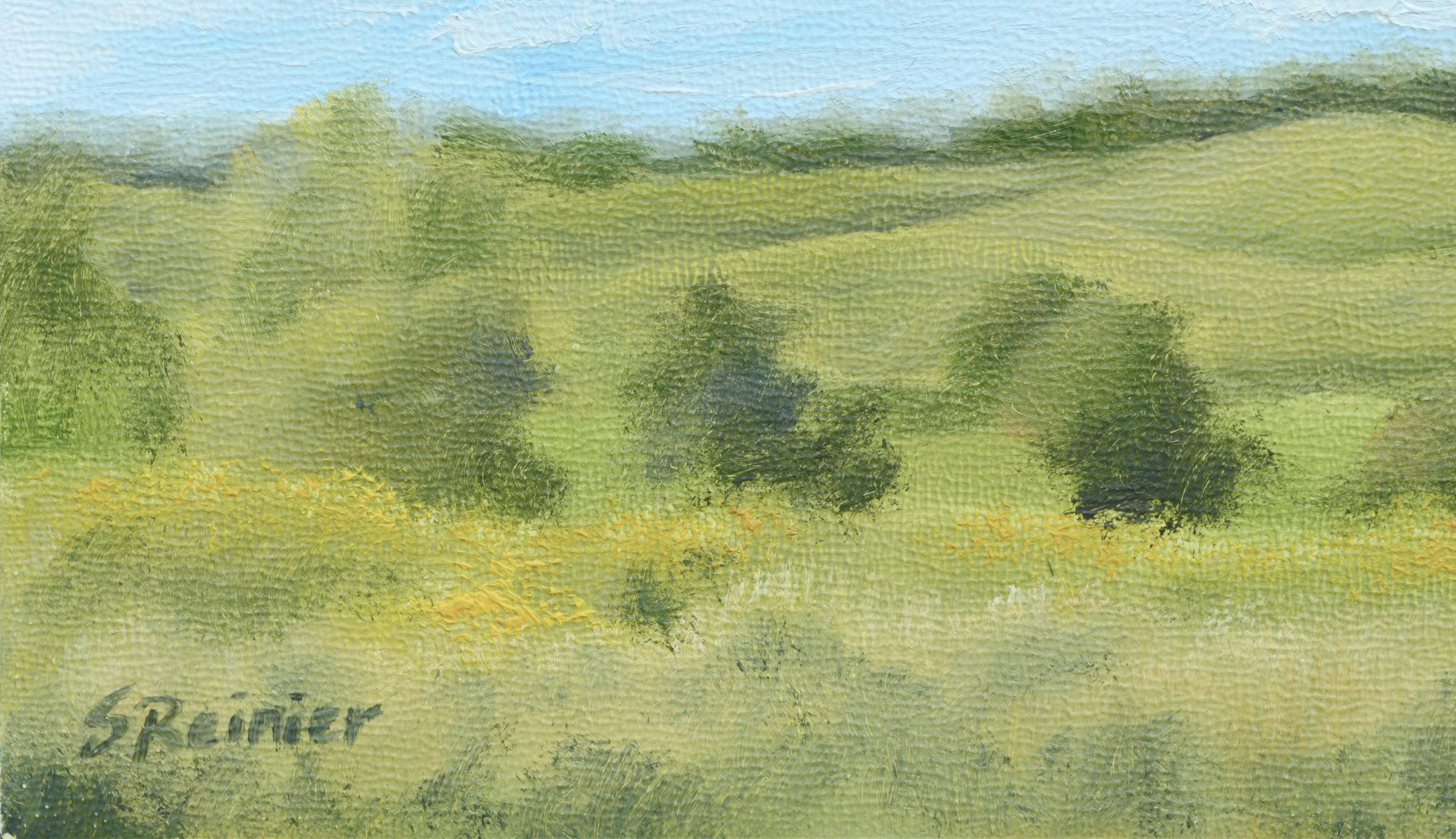 grassland color