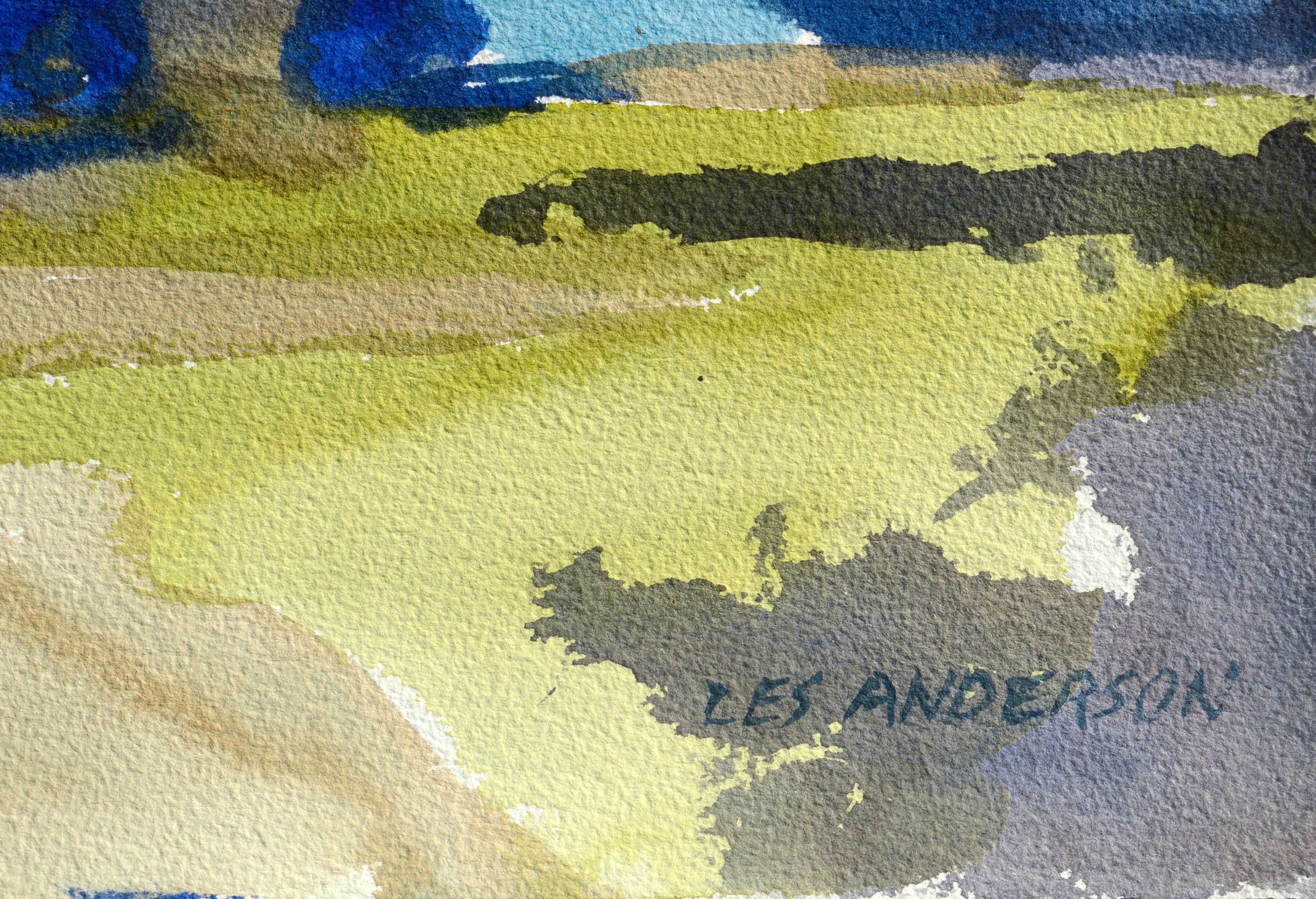 Lebendige, phantasievolle Farben wirbeln durcheinander und formen dieses skurrile, abstrahierte Landschaftsaquarell von Les Anderson (Amerikaner, 1928-2009), das eine wunderschöne Trauerweide zeigt. Signiert 