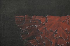 "Red Medusa Mantle" (Ruffled Kimono) - Hand Augmented Collotype