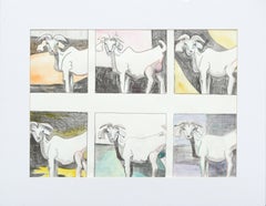 Sei capre, serie di ritratti di animali caprini modernisti