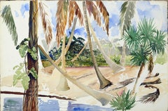 Palms in the Tropics (work in progress)