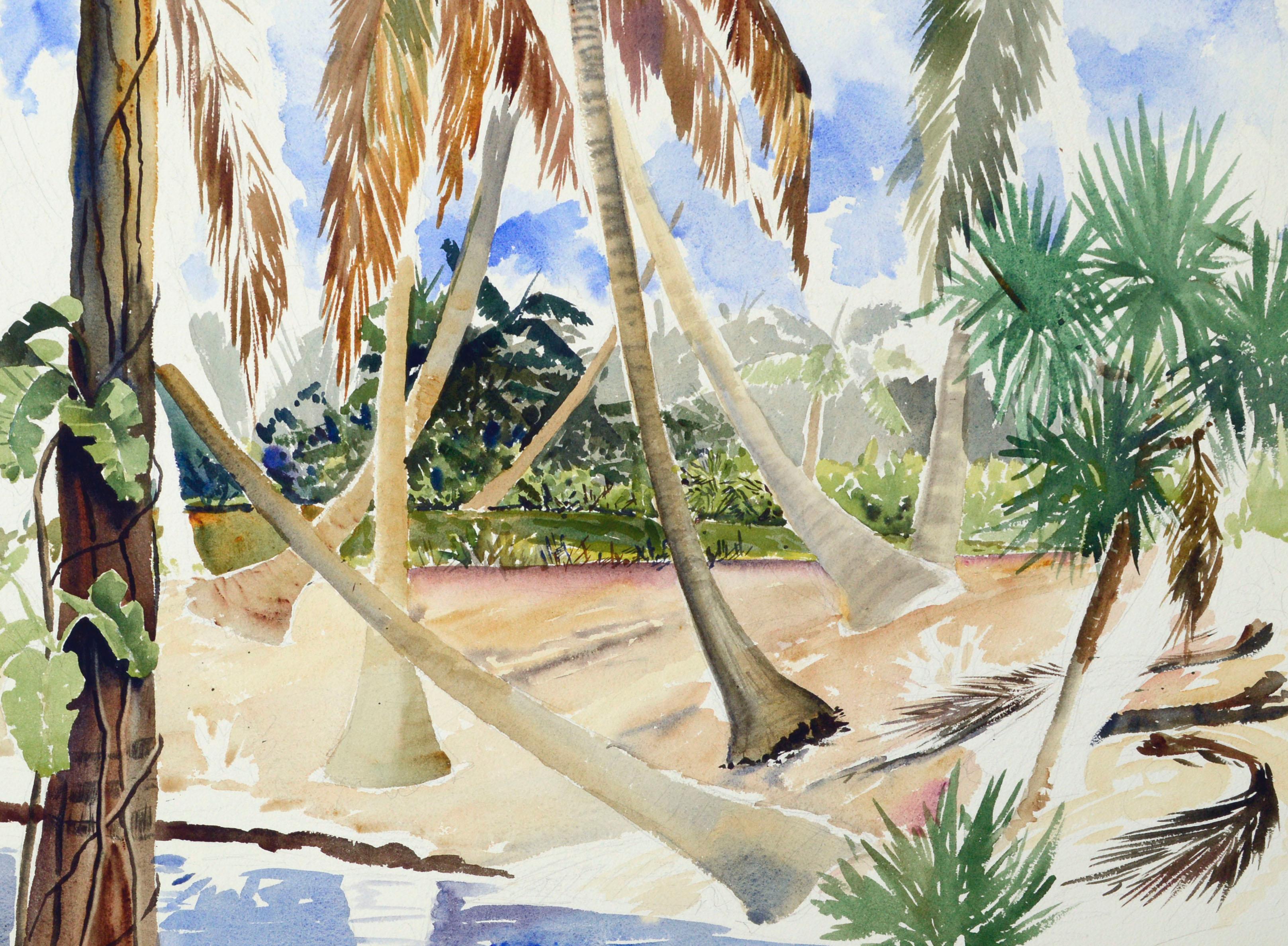 palms tropics