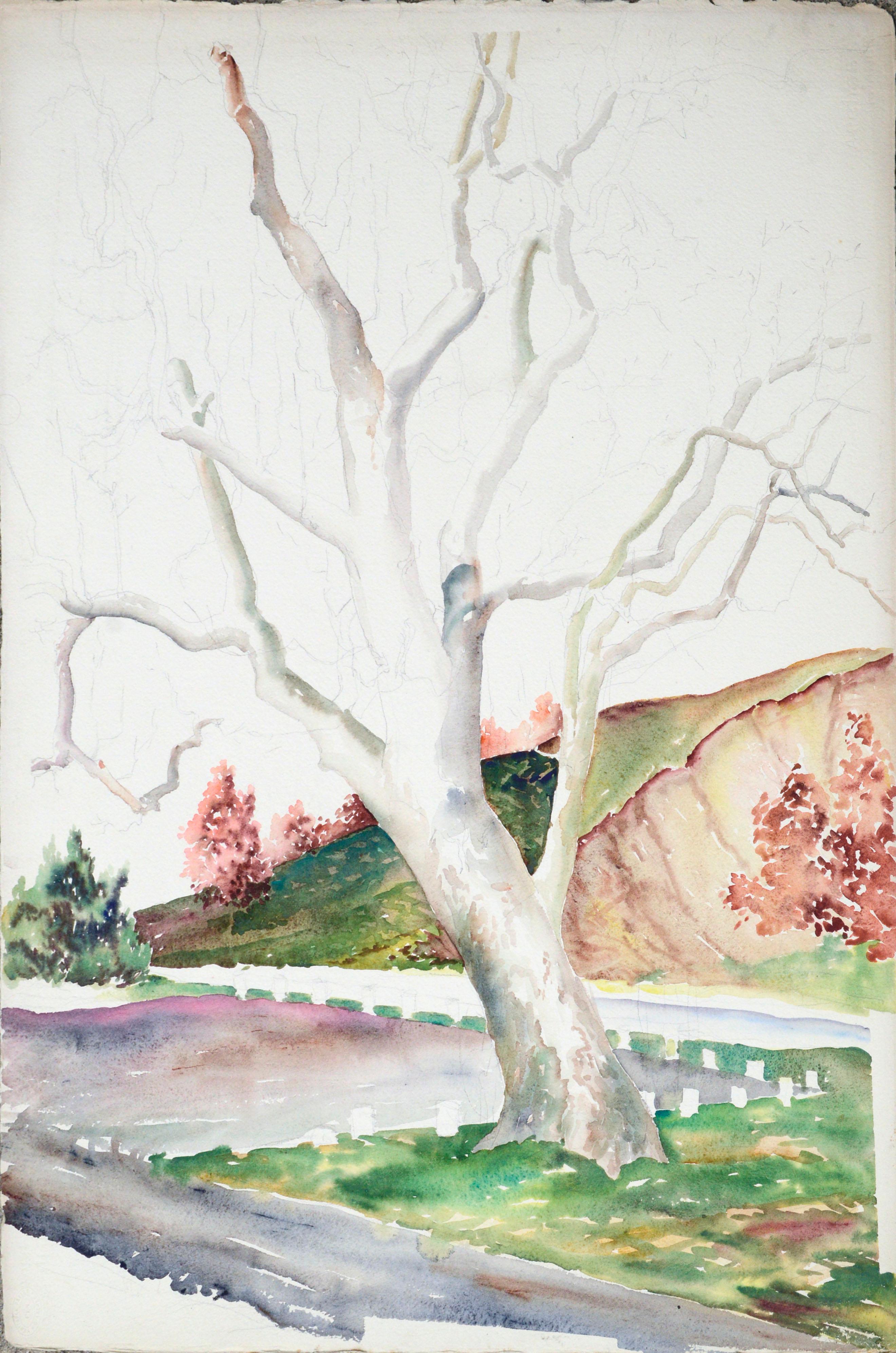 Landscape Art Joseph Yeager - Mid-Century Hillside Trees Landscape Aquarelle (inachevée) 
