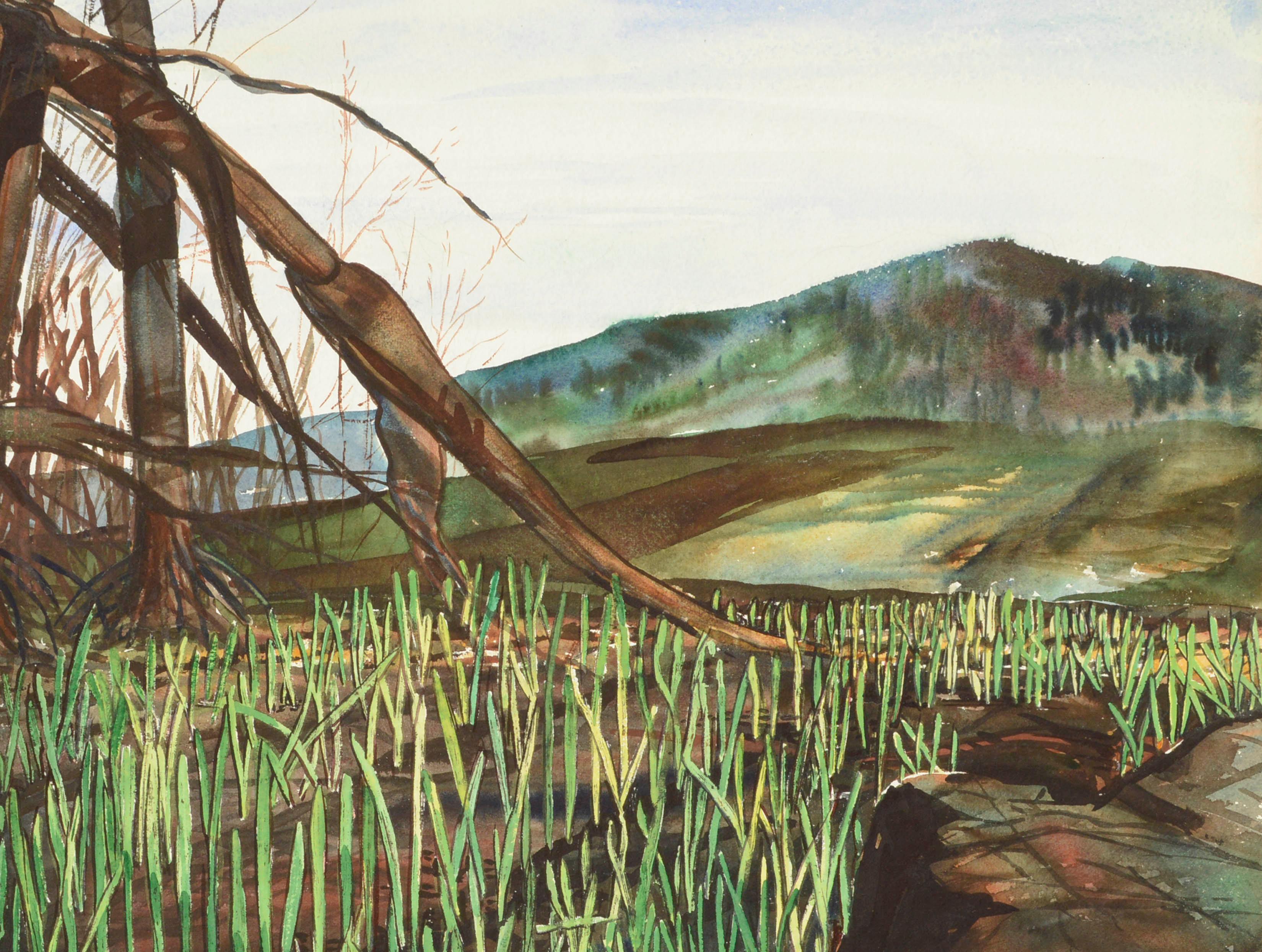 Mid-Century Mountain Grasslands Landscape Watercolor - American Impressionist Art by Joseph Yeager
