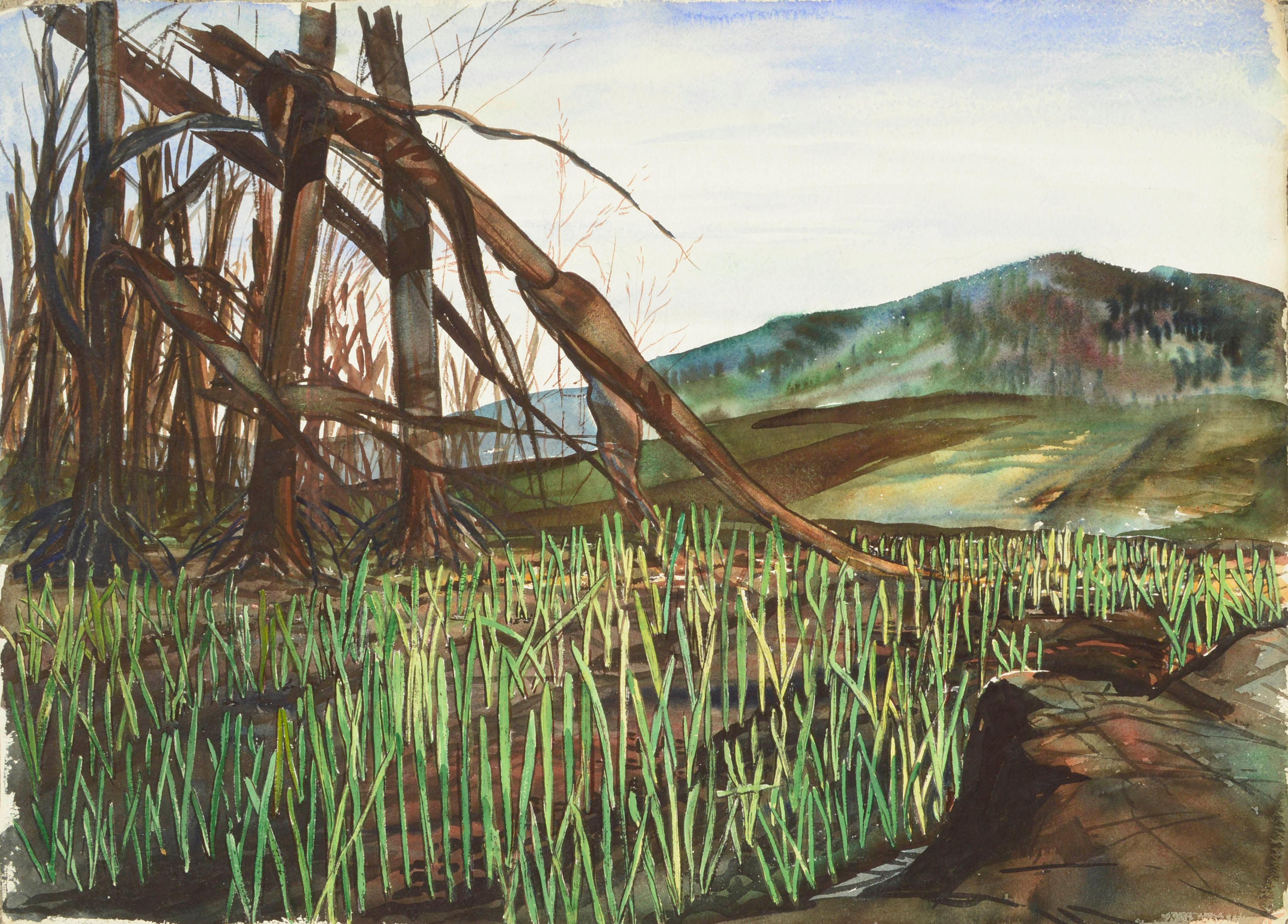 Mid-Century Mountain Grasslands Landscape Watercolor