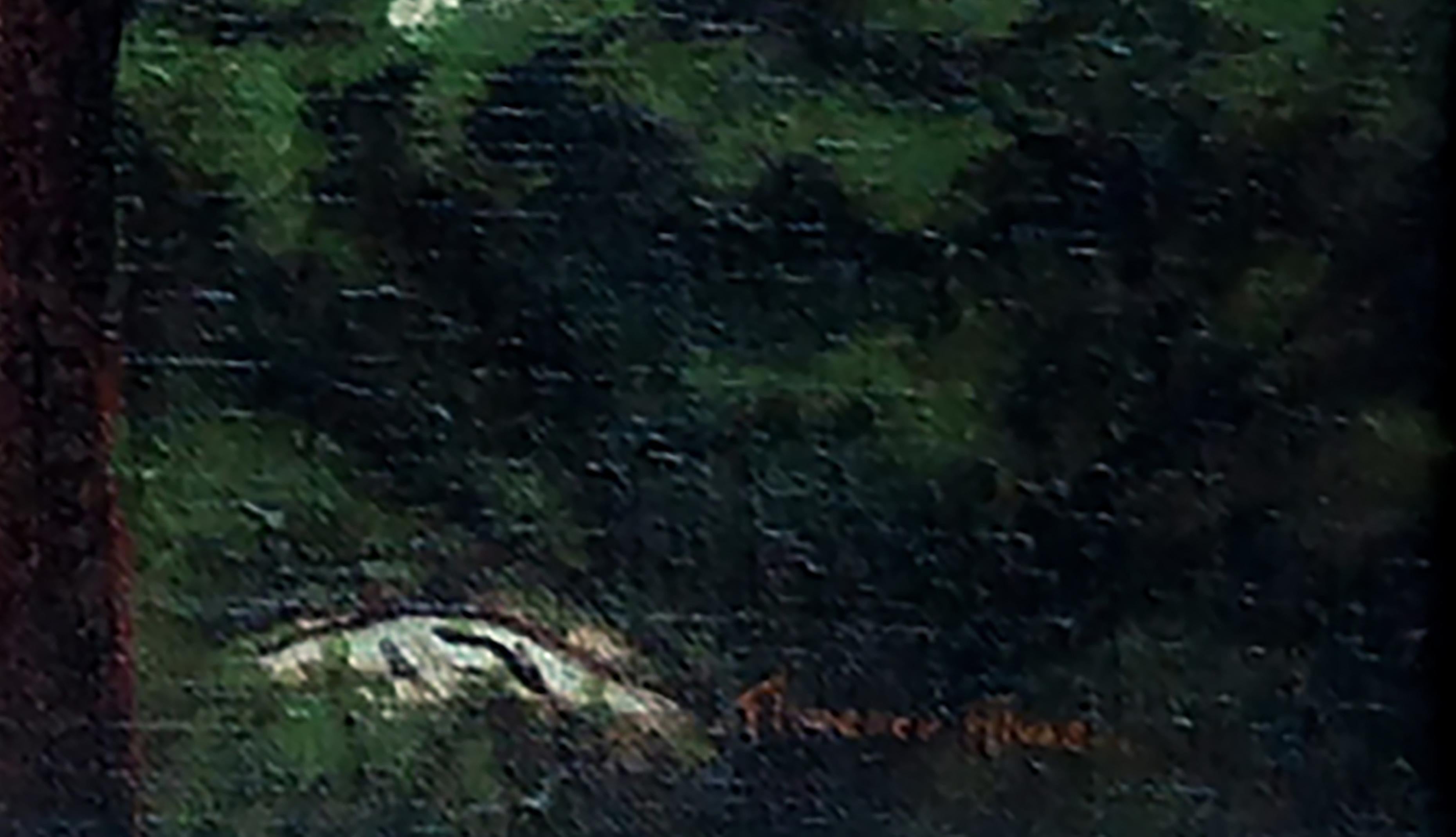 Mid Century Lone Cypress Carmel California Landscape - Black Landscape Painting by Florence Alvas