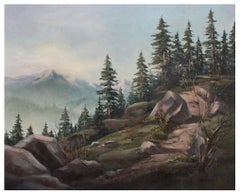 Pacific Northwest Mountain Landscape