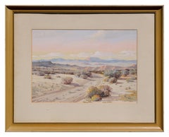 Mid Century Palm Springs Desert Landscape