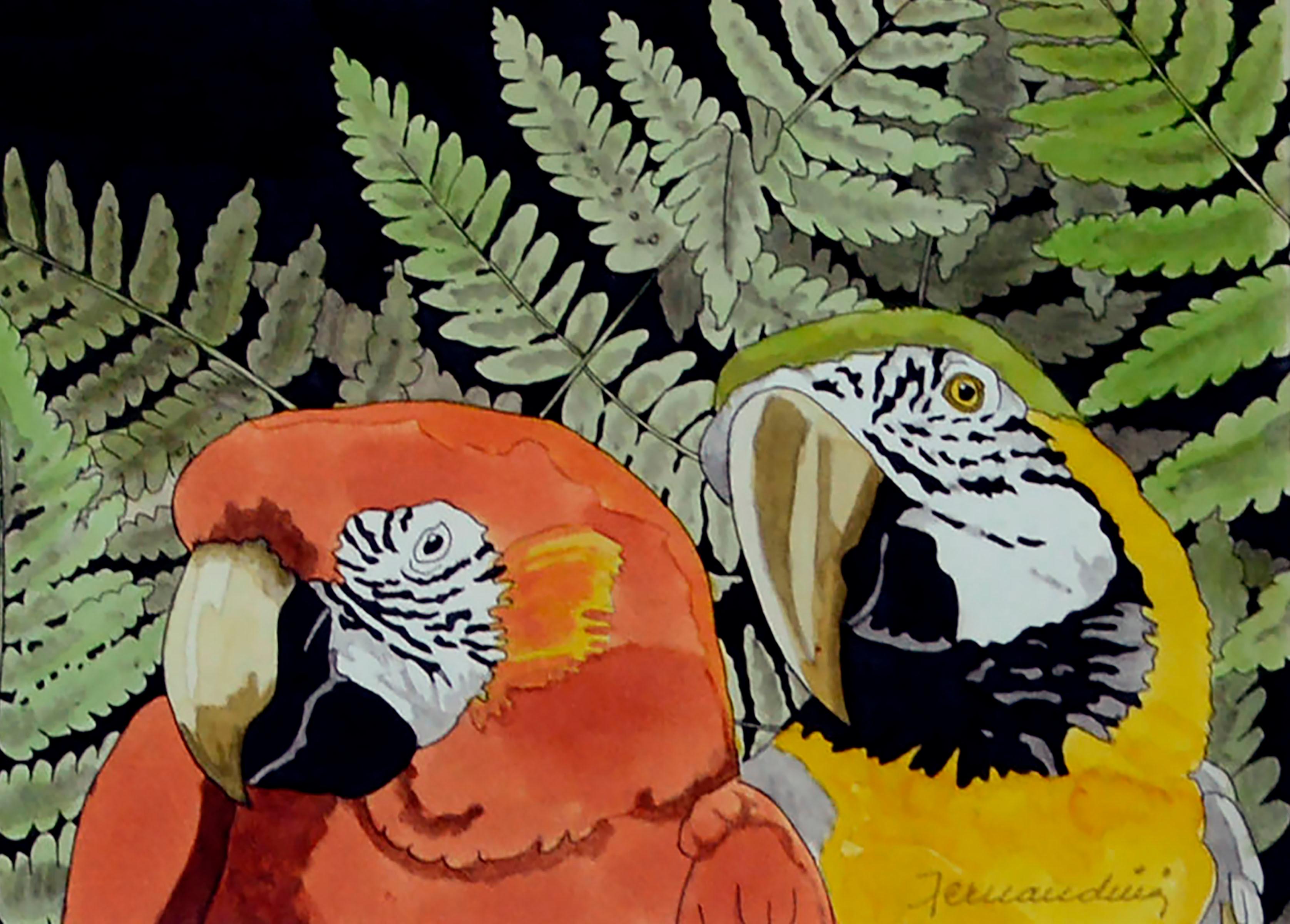 Acquerello con pappagalli e felci Scarlett Macaw, panorama orizzontale in grande scala - Animal Art Nero di Unknown