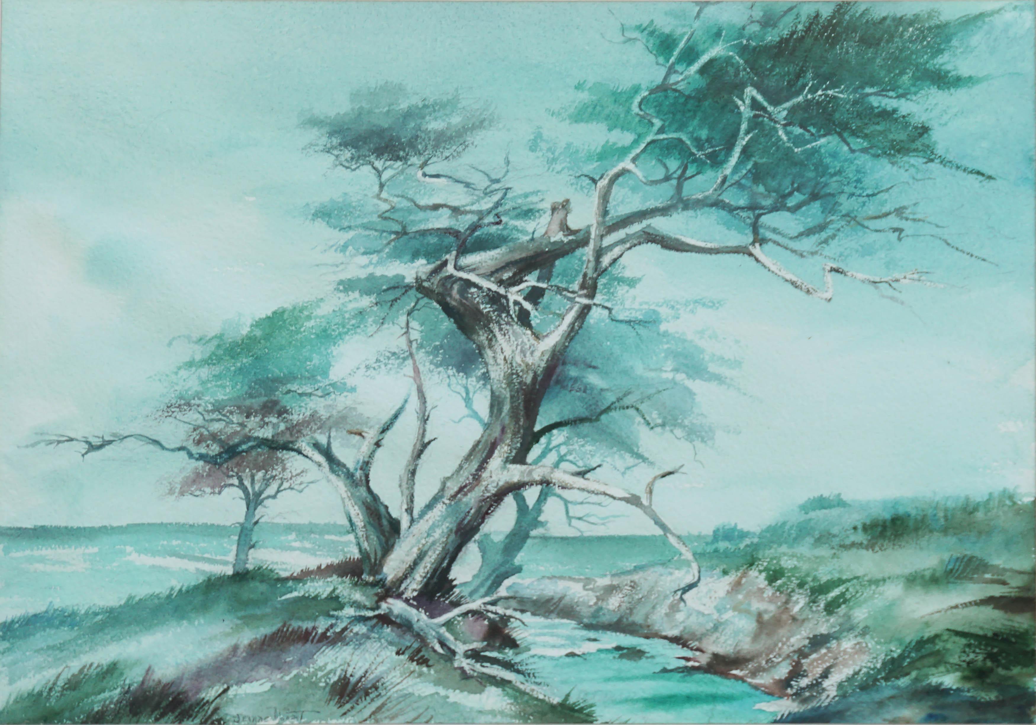 The Old Monterey Cypress Tree Mid Century Landscape - Painting by Jeanne Manget