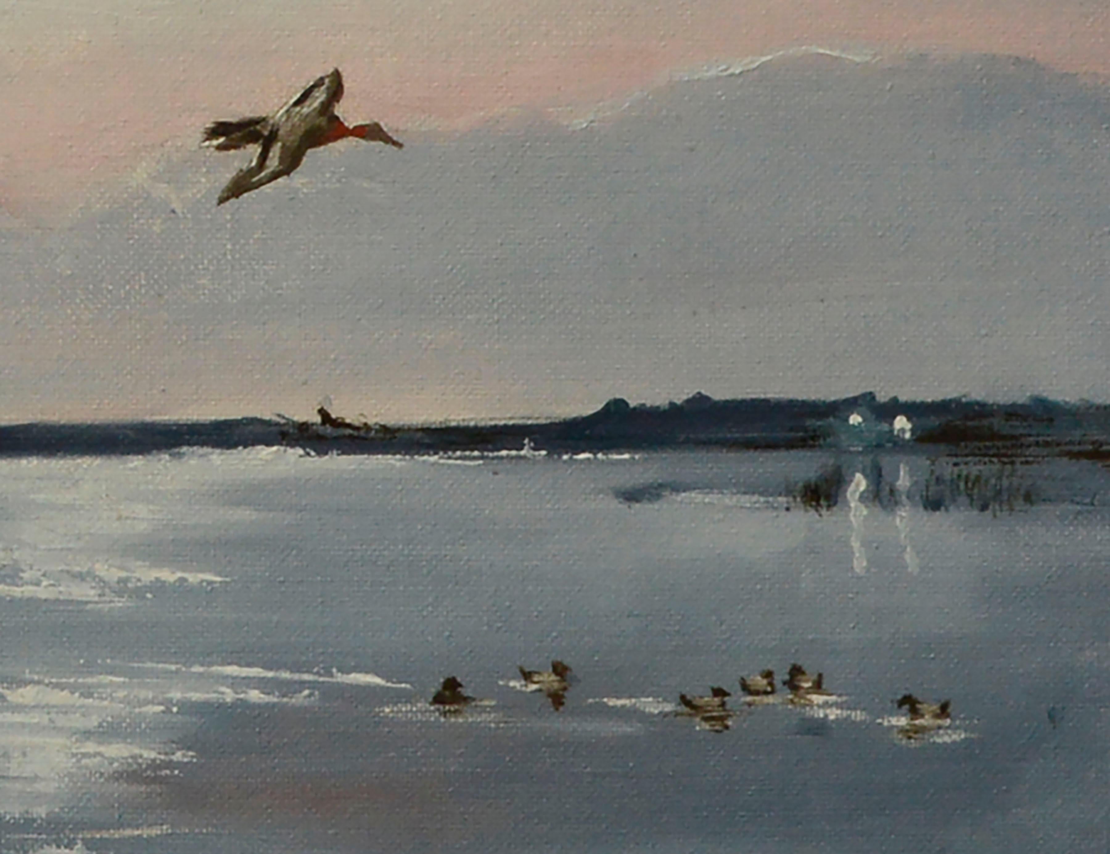 Paysage marin tranquille avec une grande volée de canards à tête rouge en vol, par l'artiste californien Dan Findlay (américain, 20e siècle). Signé 