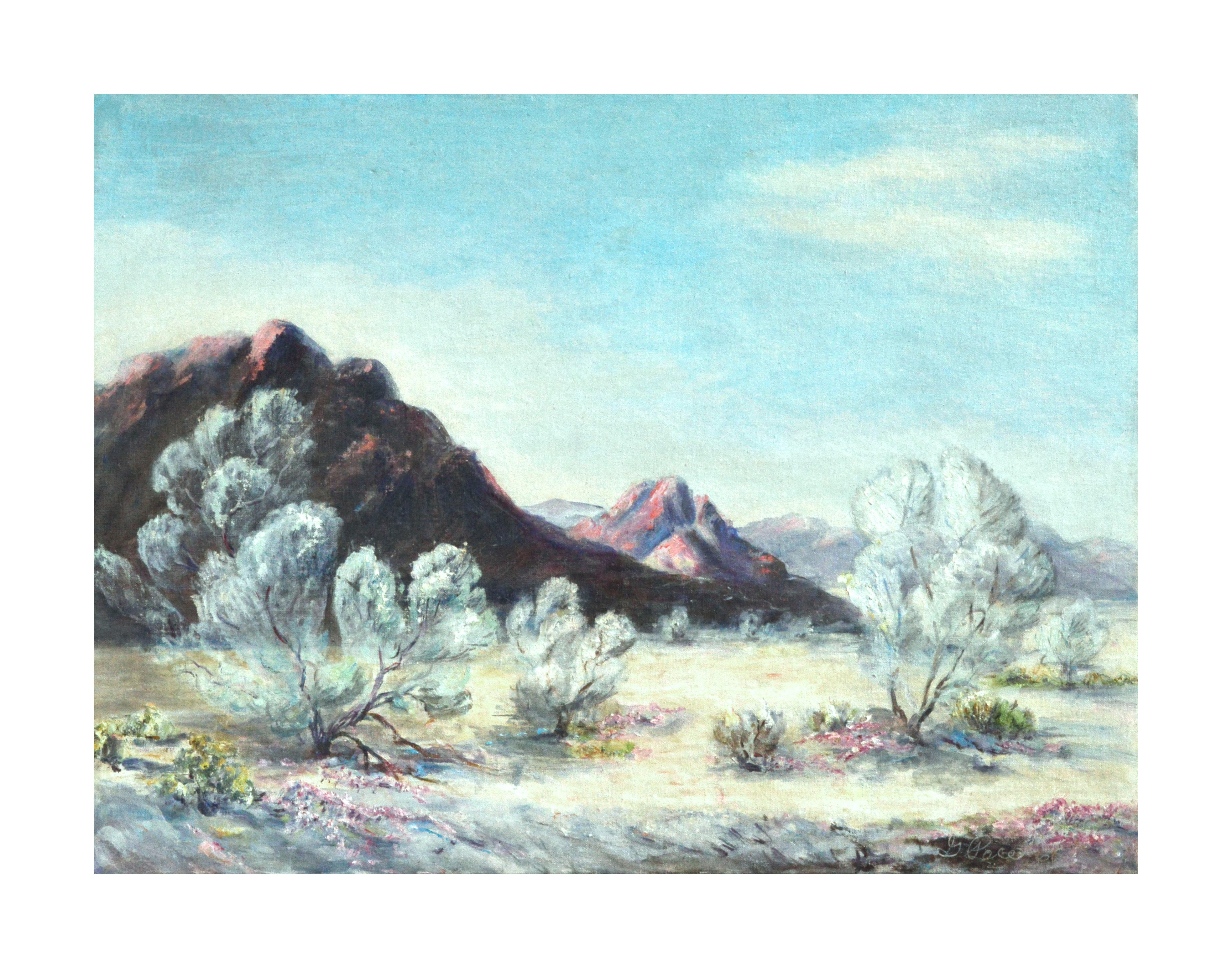 Landscape Painting Gail Pace  - Paysage du désert en fleurs du milieu du siècle dernier 