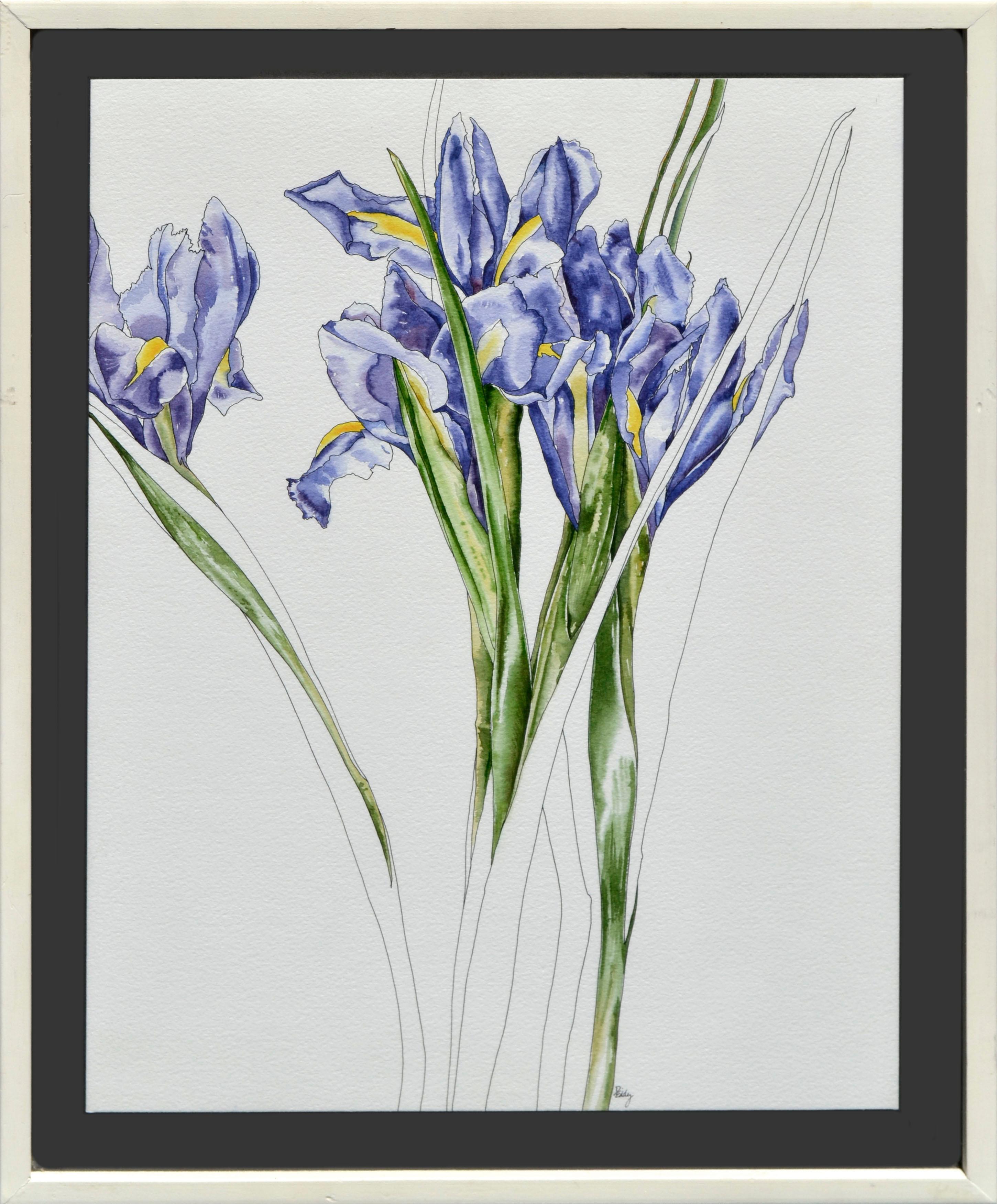 Iris Botanical Study in Violett