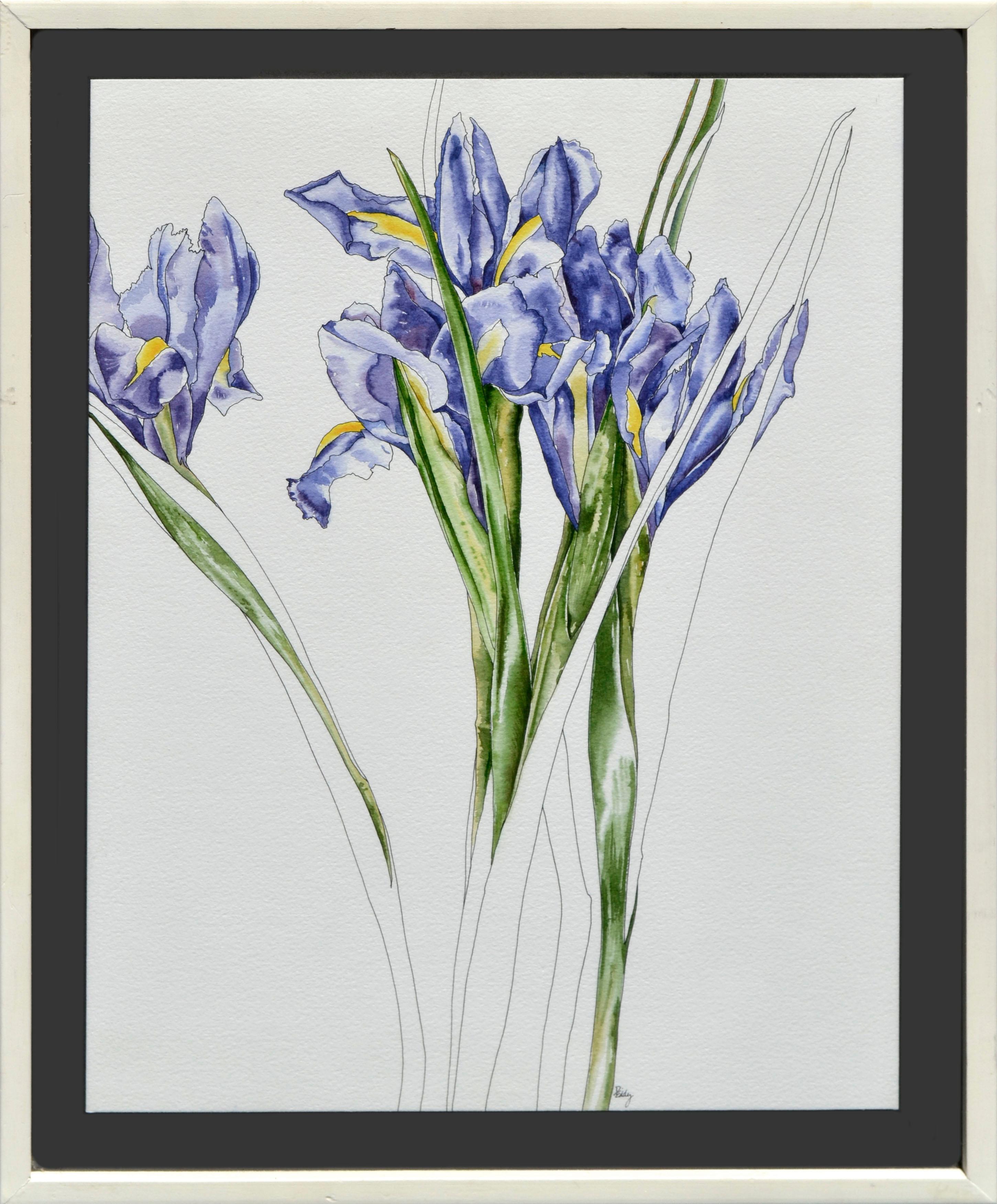 Étude botanique Iris violette 