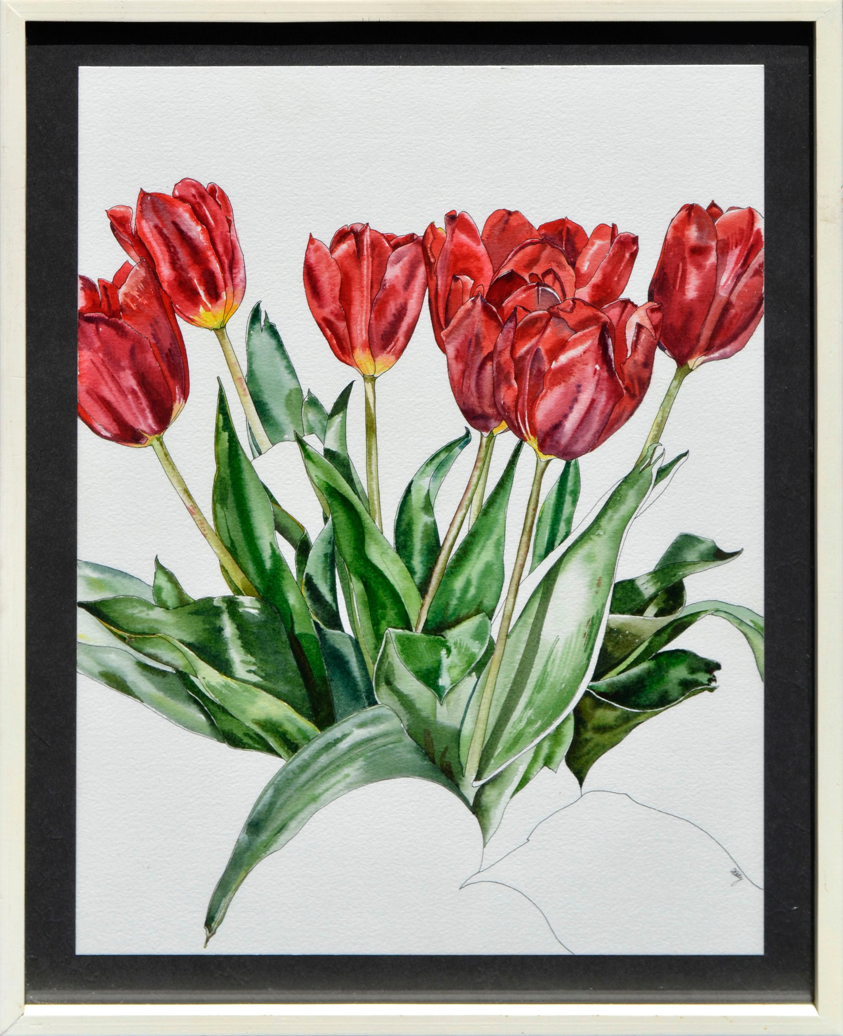 Deborah Eddy Still-Life - Red Tulips Botanical Study 
