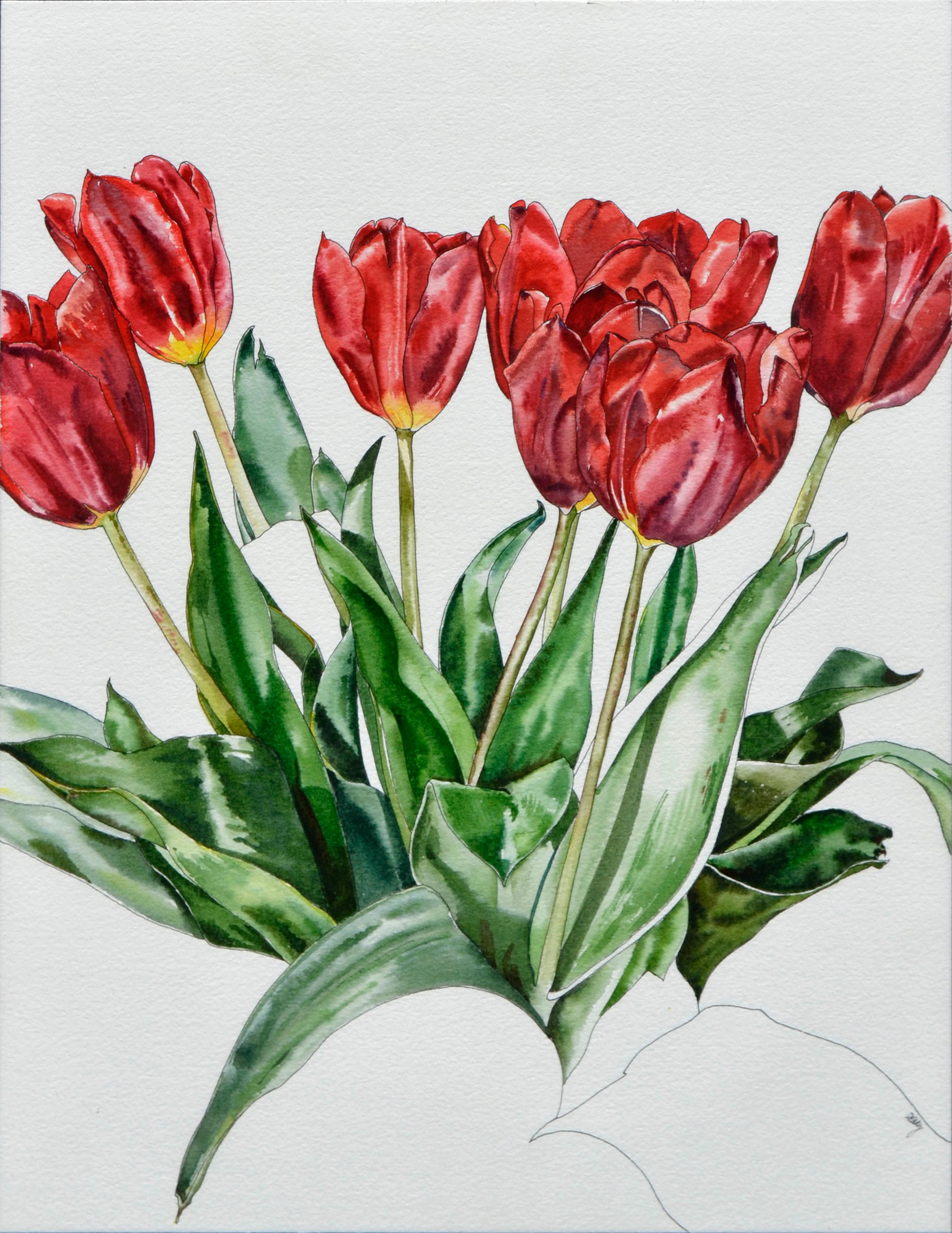 Red Tulips Botanical Study  - Art by Deborah Eddy