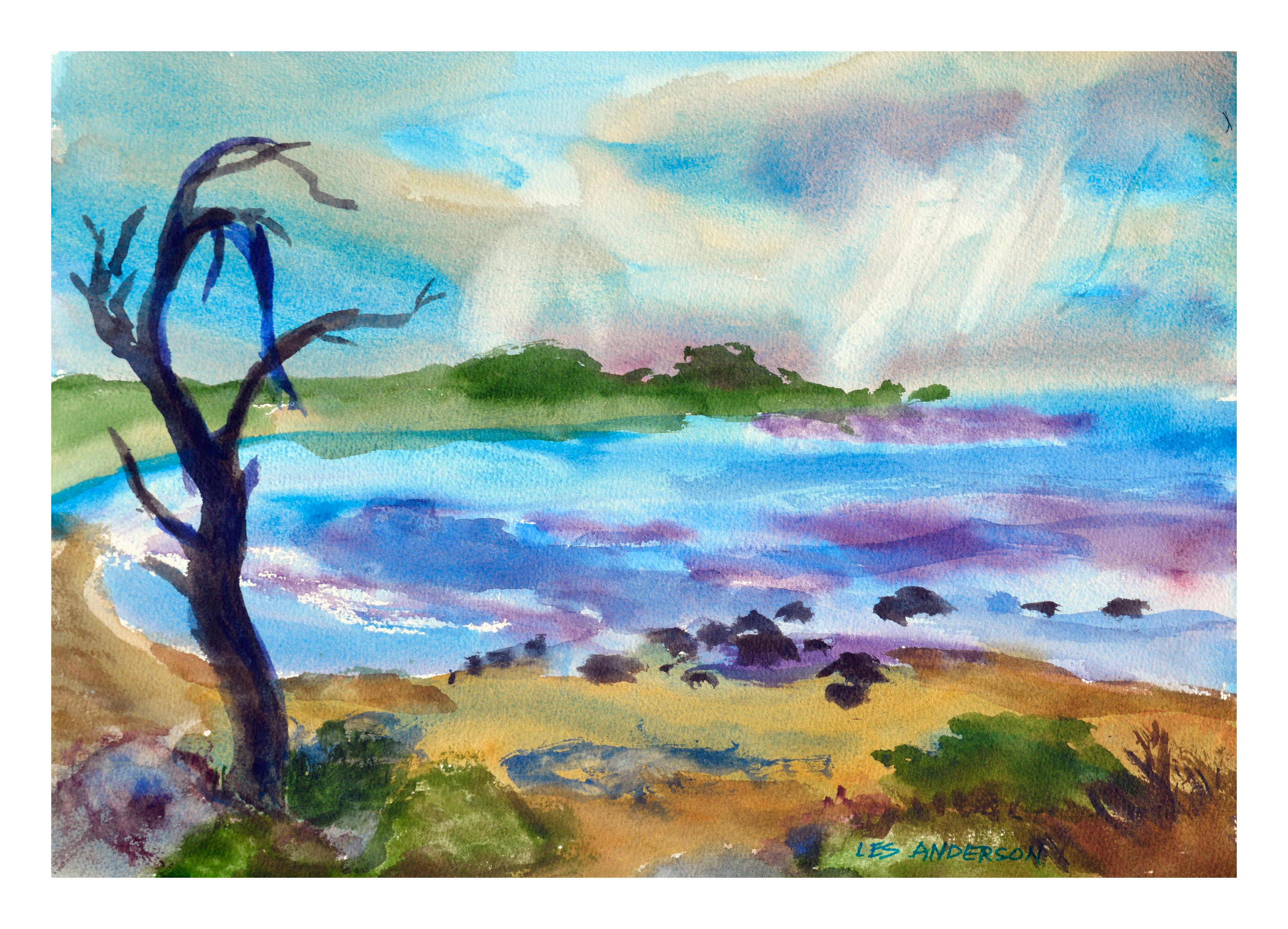 Les Anderson Landscape Art - Violet Bay Seascape