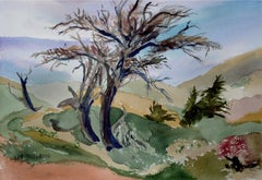 Valley of Trees Landscape