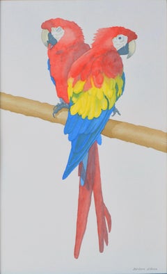 Study of Two Parrots