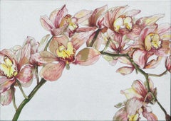 Orchid Arch - Botanical Study