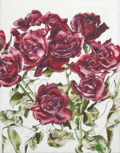 Red Roses - Botanical Study