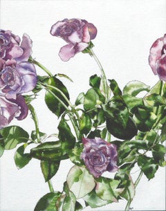 Lavender Roses - Botanical Study
