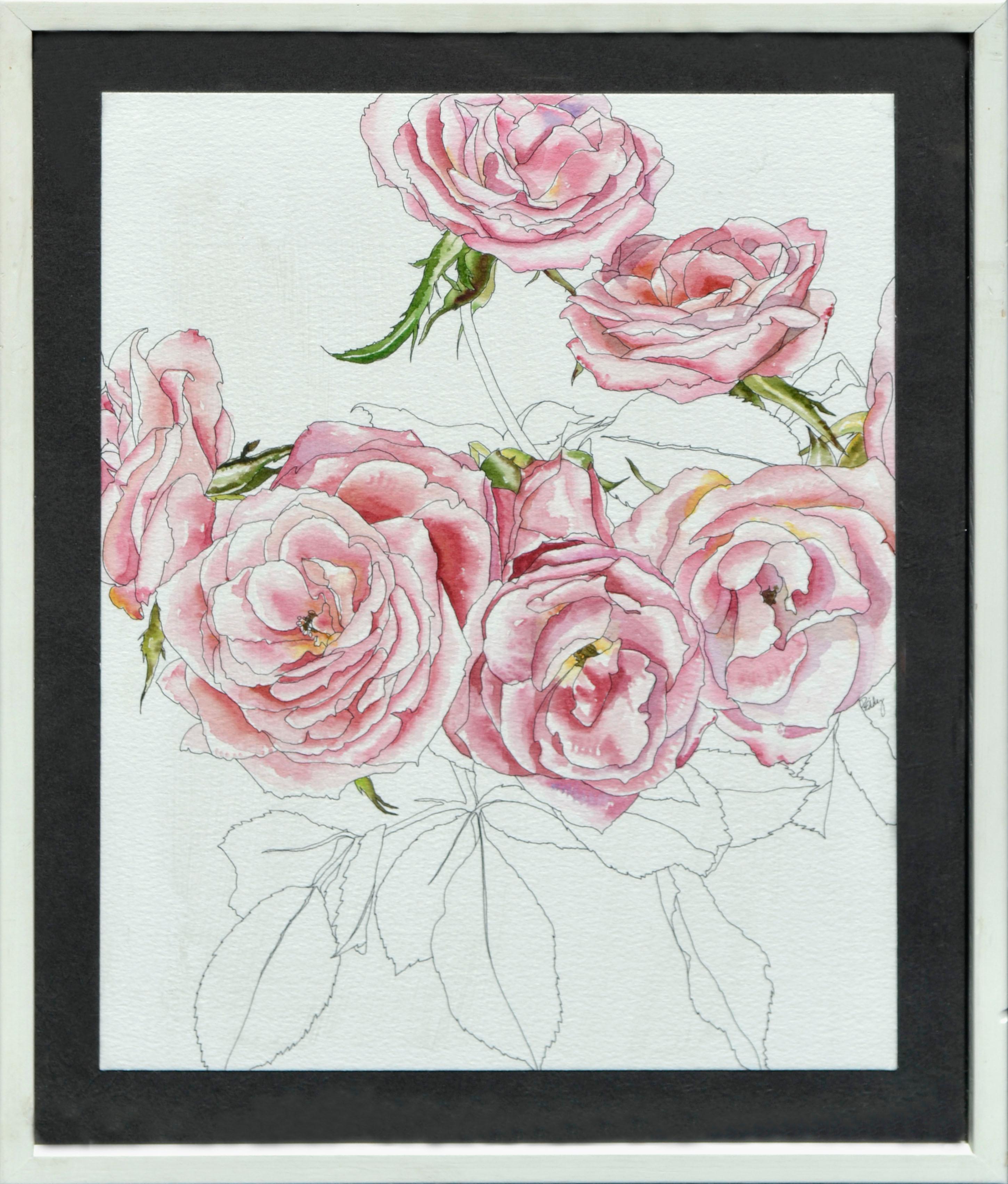 Pink Roses - Botanical Study 