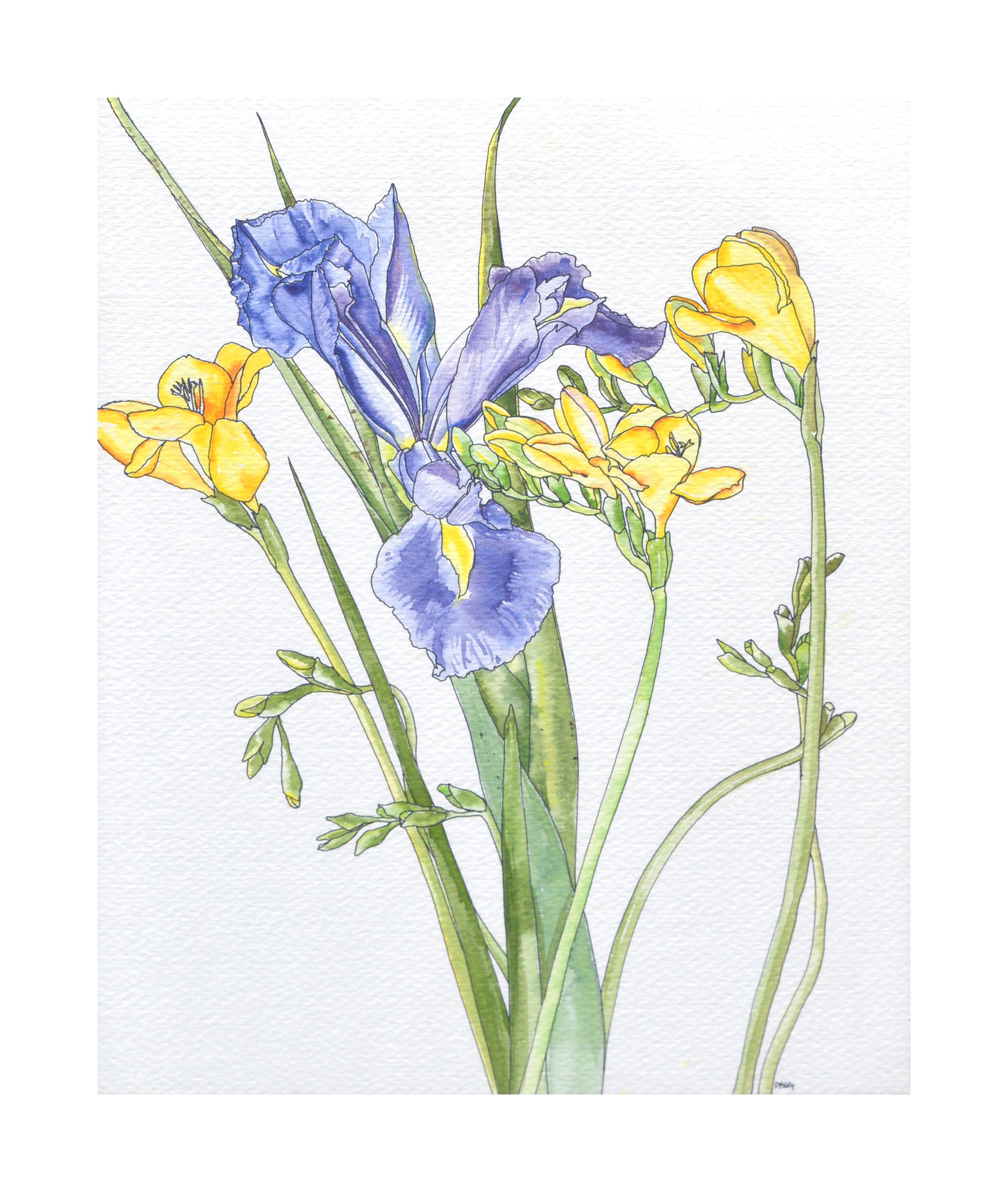 Freisia in Blau und Gelb  - Botanische Studie  – Art von Deborah Eddy
