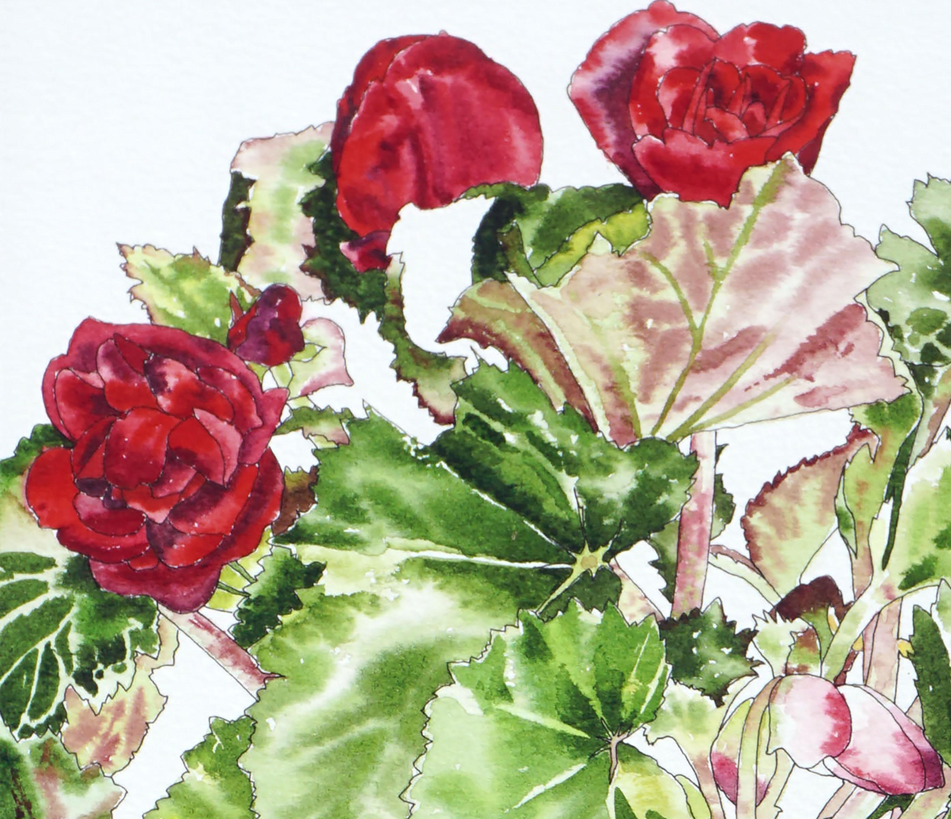 Rote Begonia – Botanische Studie  (Beige), Still-Life, von Deborah Eddy