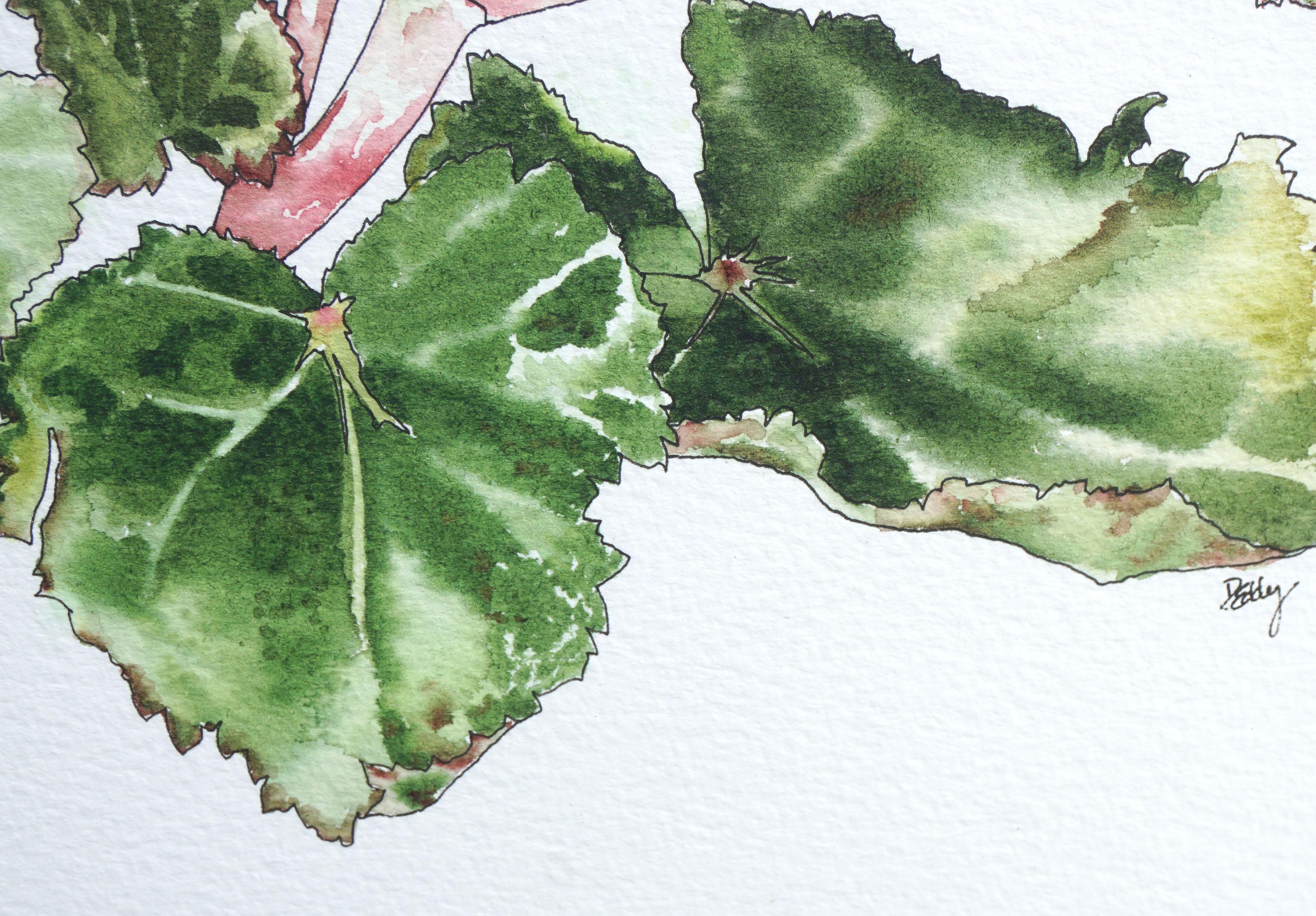 begonia watercolor