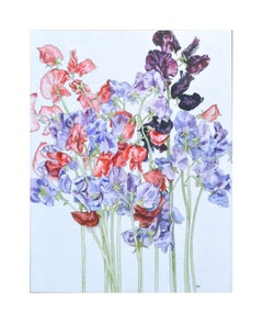 Sweet Peas - Botanical Study